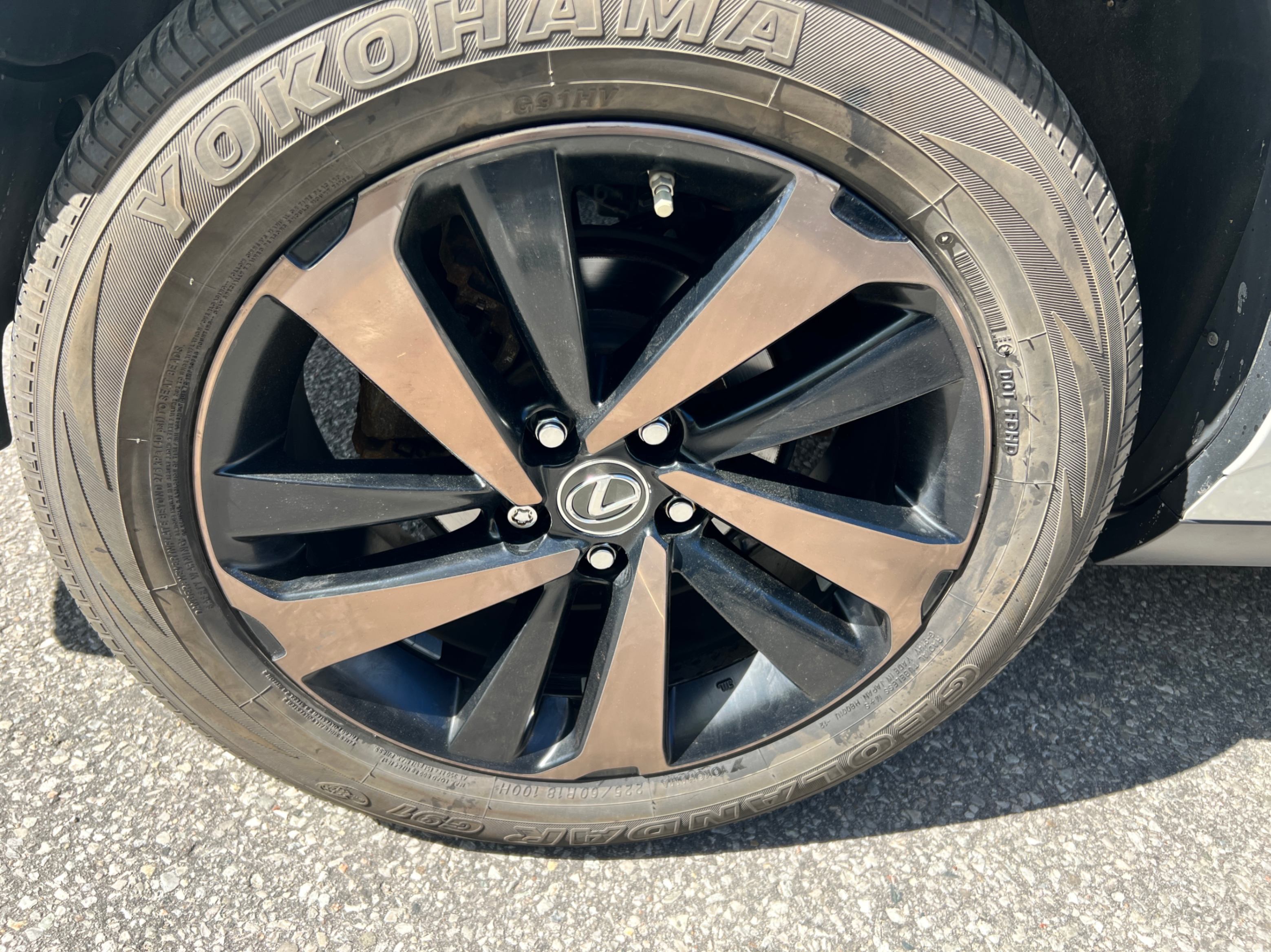/crownautomobile/2020-Lexus-NX-18983244365559915.jpg