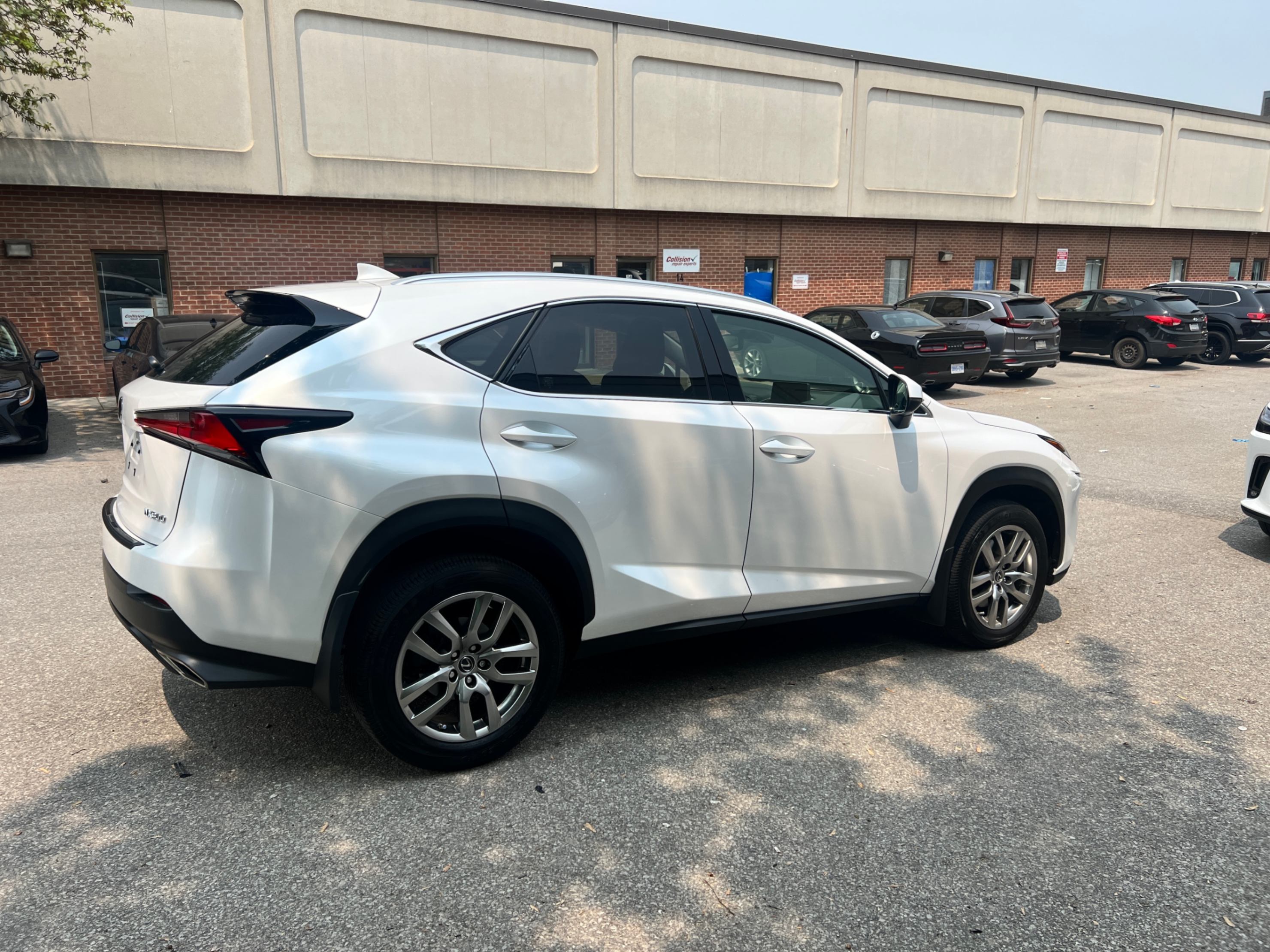 /crownautomobile/2020-Lexus-NX-36207279292534955.jpg