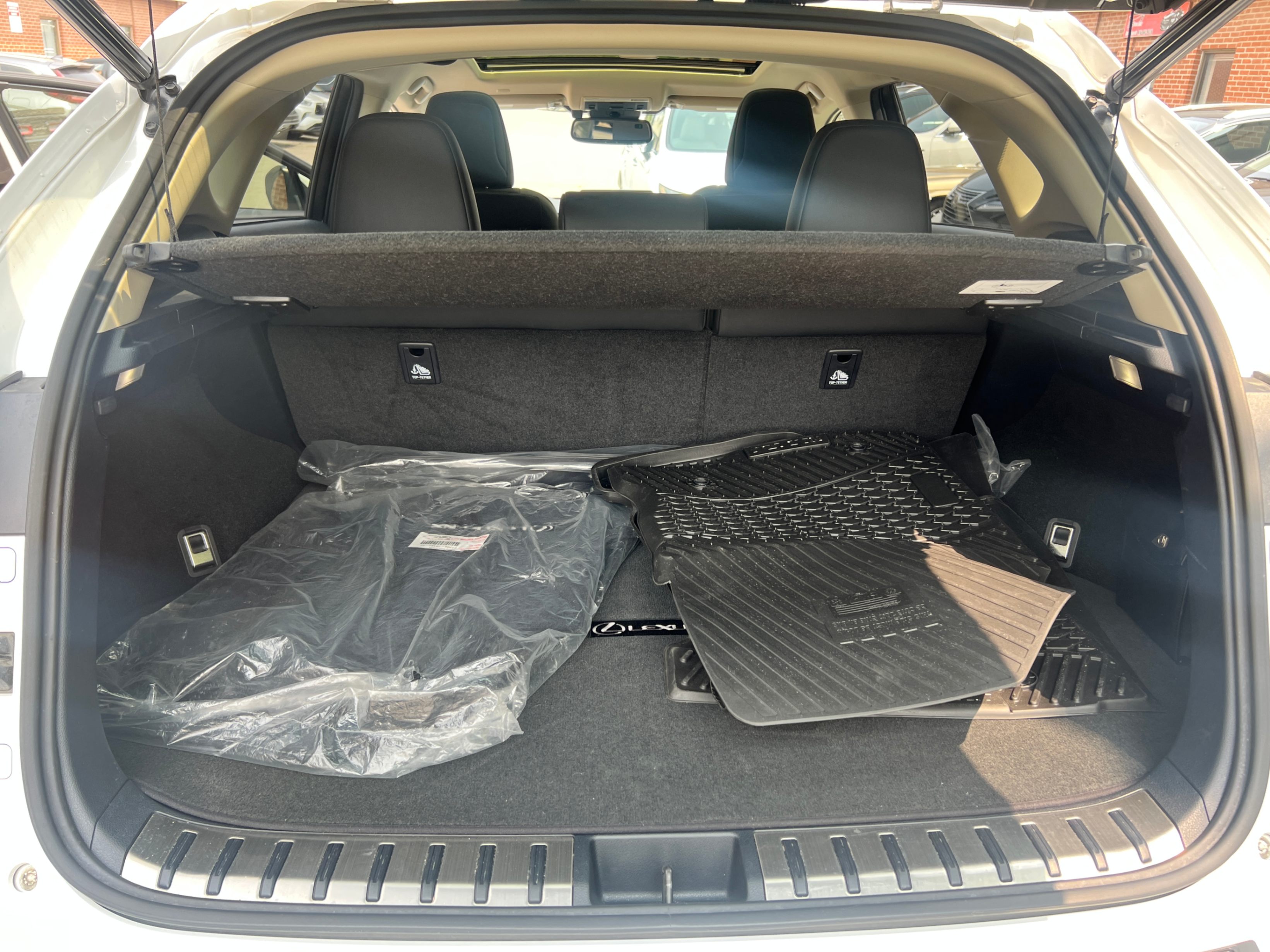 /crownautomobile/2020-Lexus-NX-6442343863255096.jpg