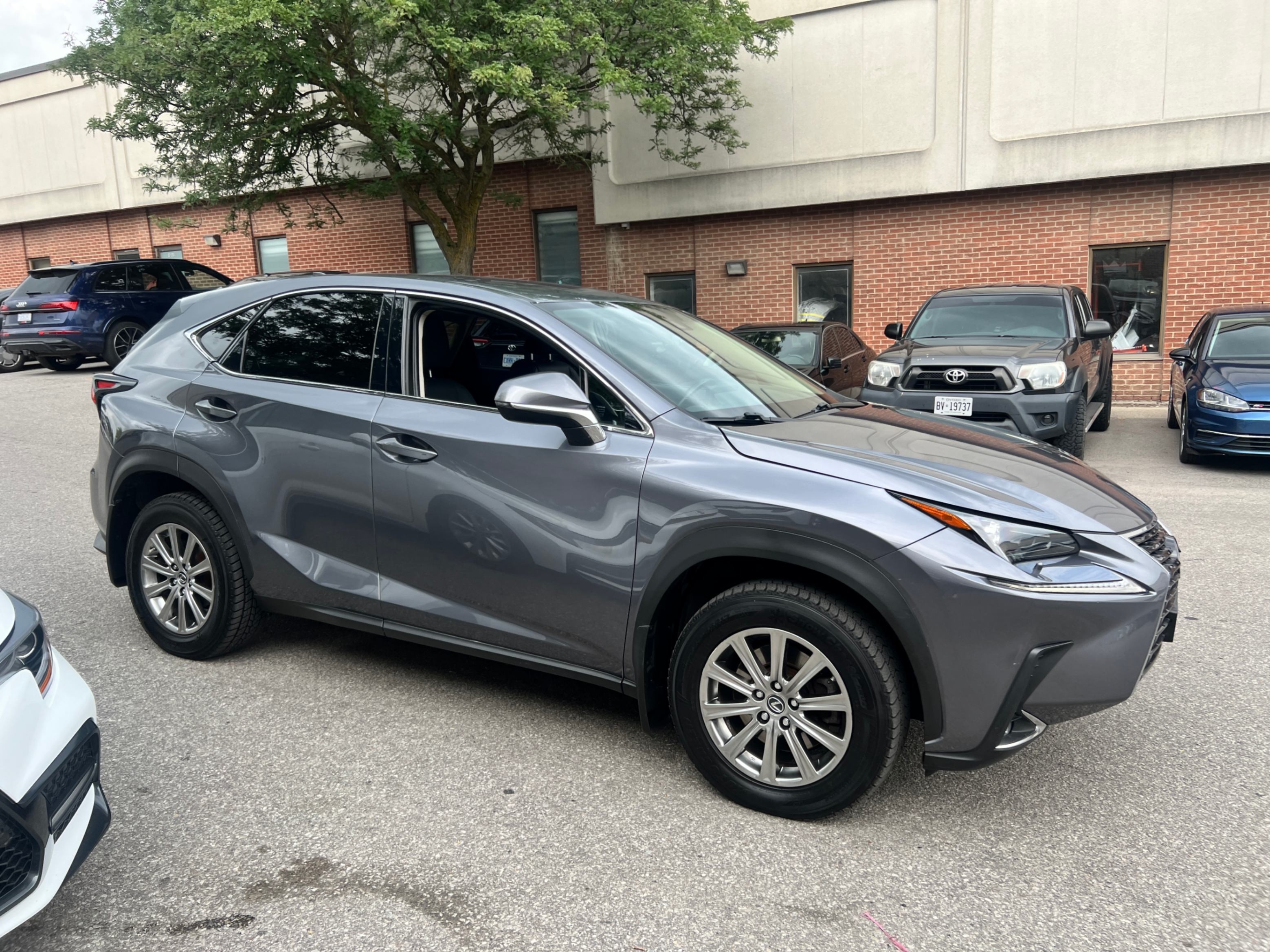 /crownautomobile/2020-Lexus-NX-9323773604868528.jpg