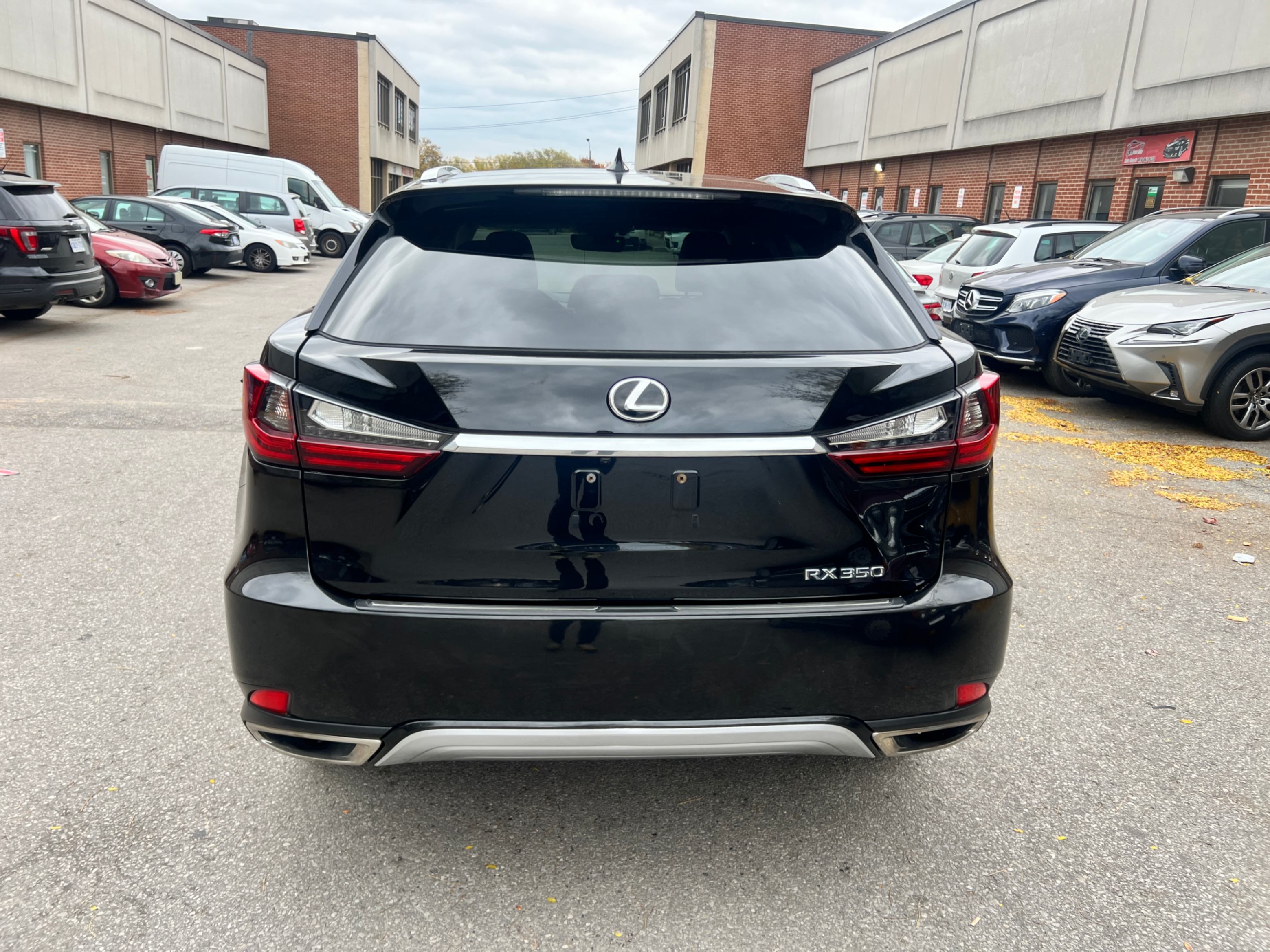 /crownautomobile/2020-Lexus-RX-01023514667419434.jpg