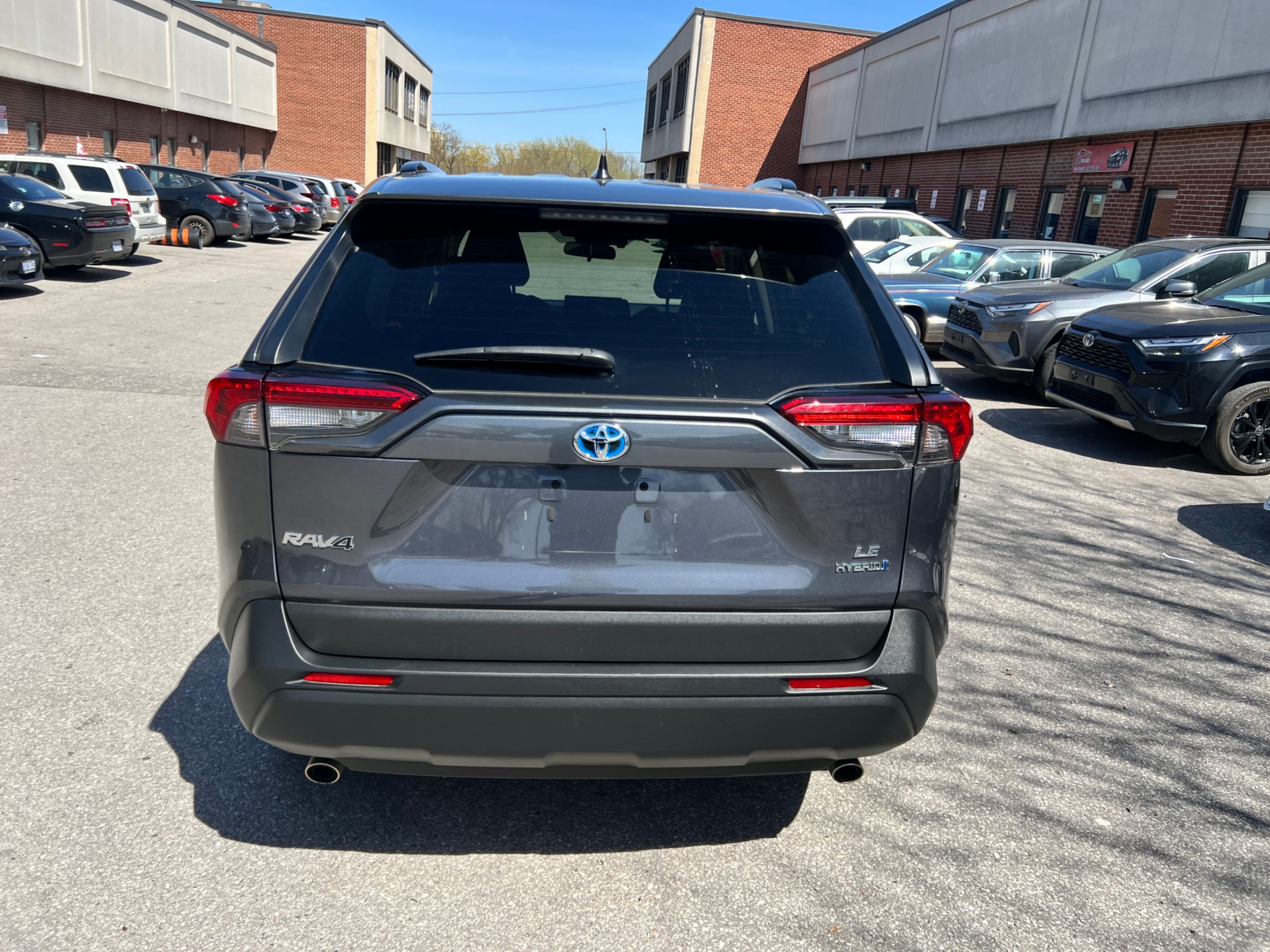 /crownautomobile/2020-Toyota-RAV4-446604806186222.jpg