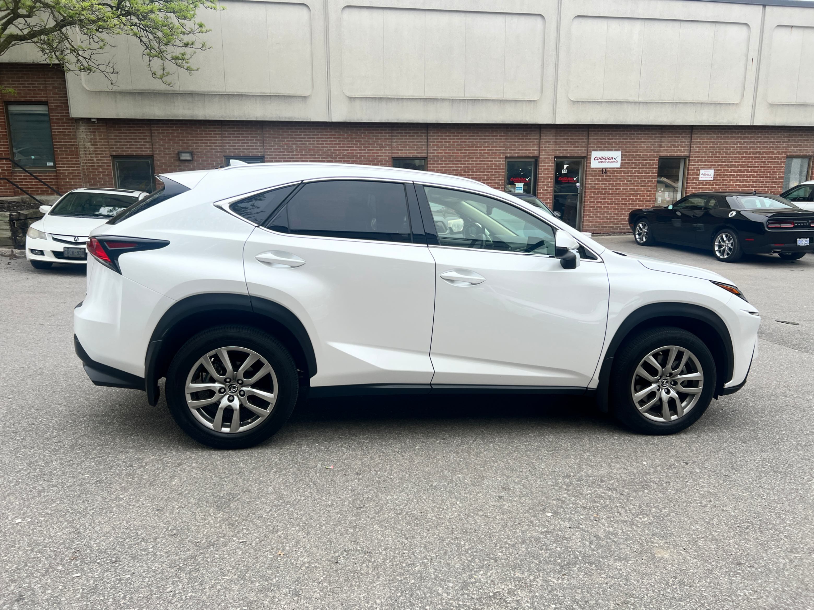 /crownautomobile/2021-Lexus-NX-03253607710163853.jpg