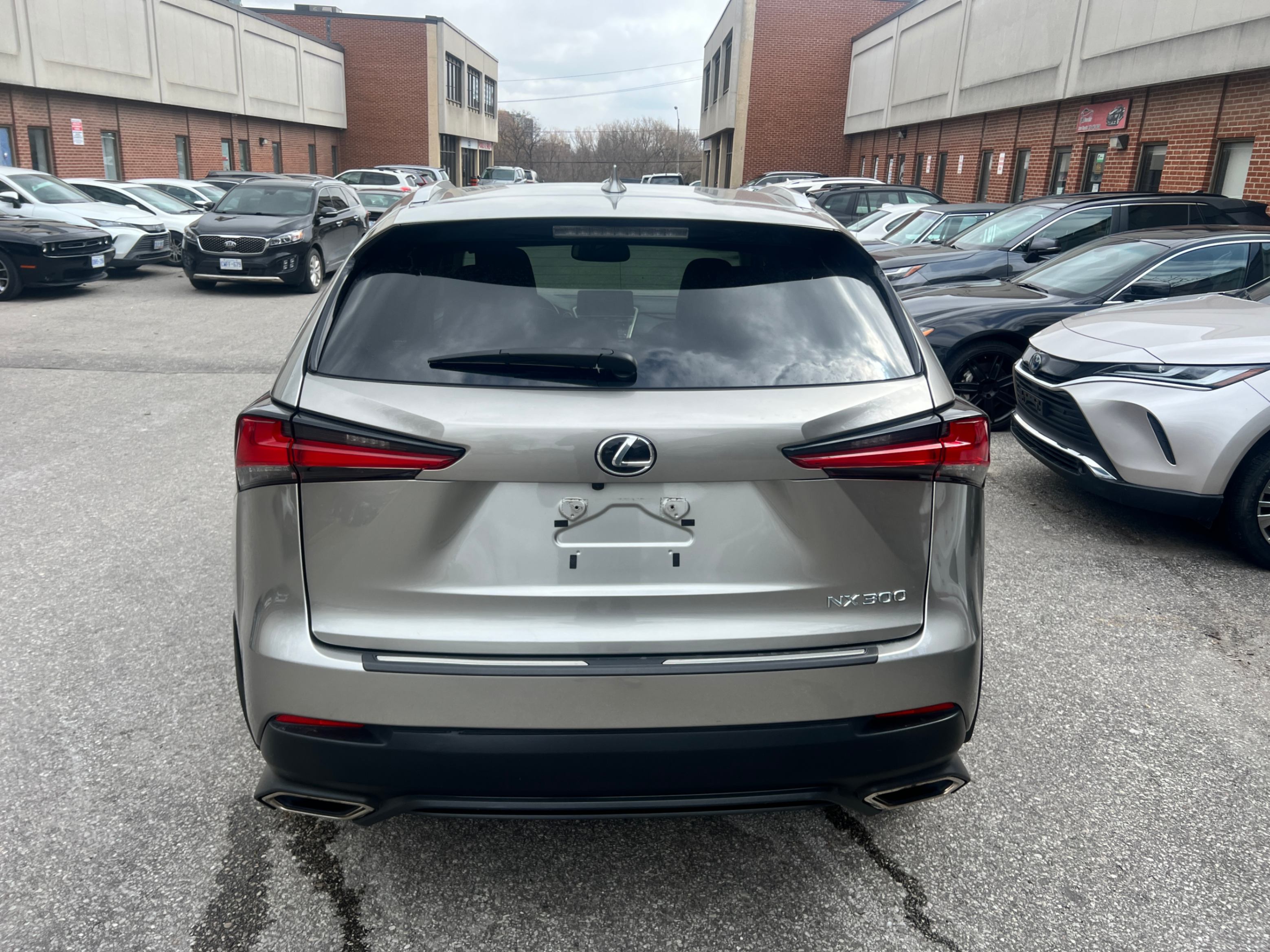 /crownautomobile/2021-Lexus-NX-14615821340199853.jpg