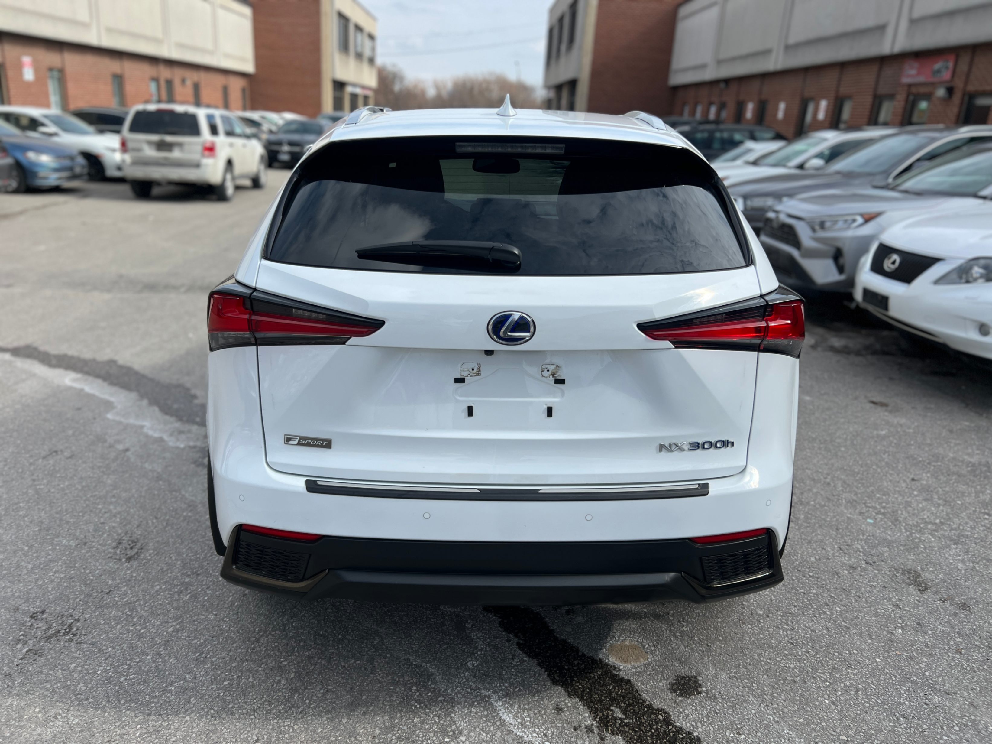 /crownautomobile/2021-Lexus-NX-23043169604853864.jpg