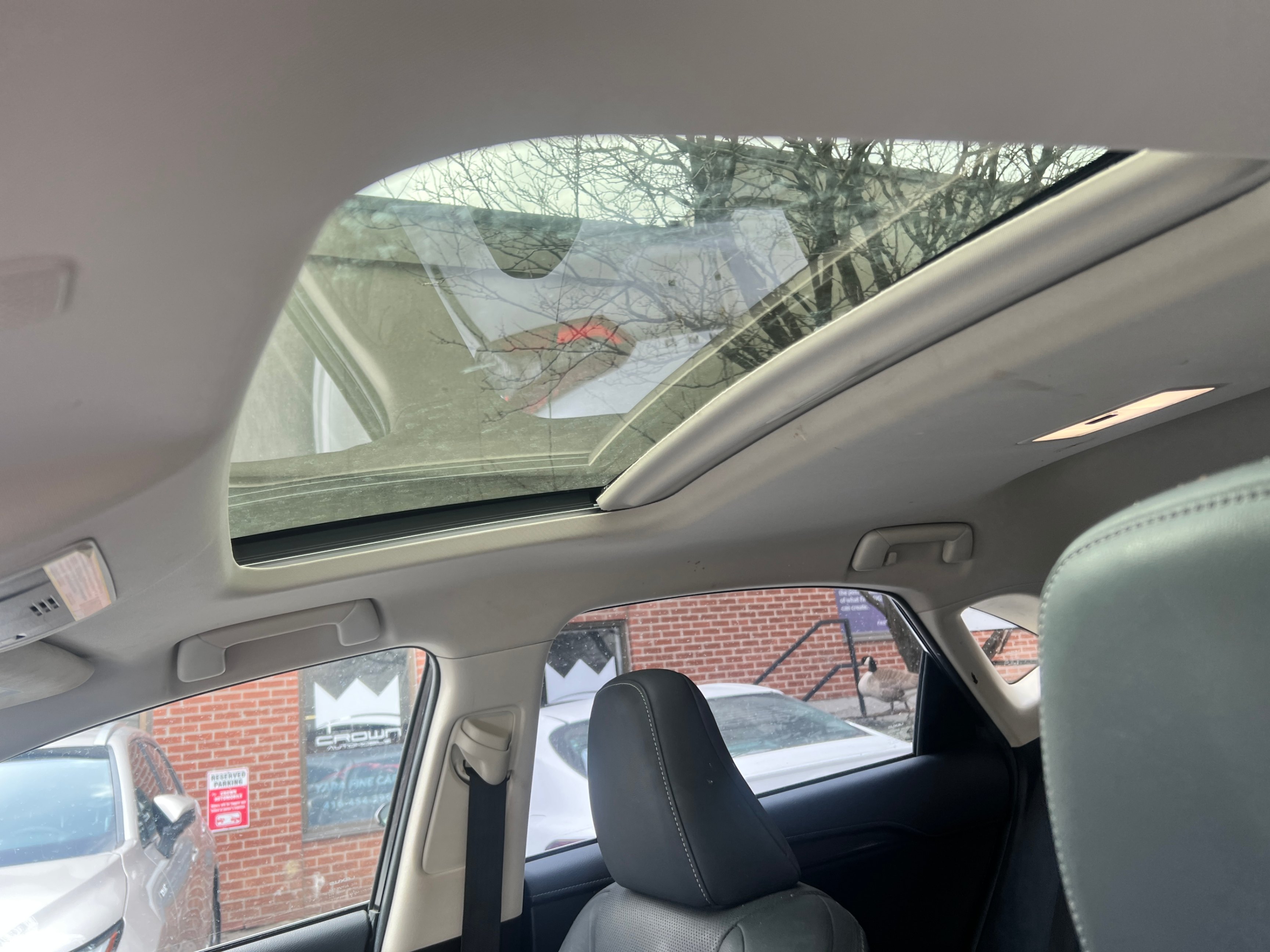 /crownautomobile/2021-Lexus-NX-5012561902946904.jpg