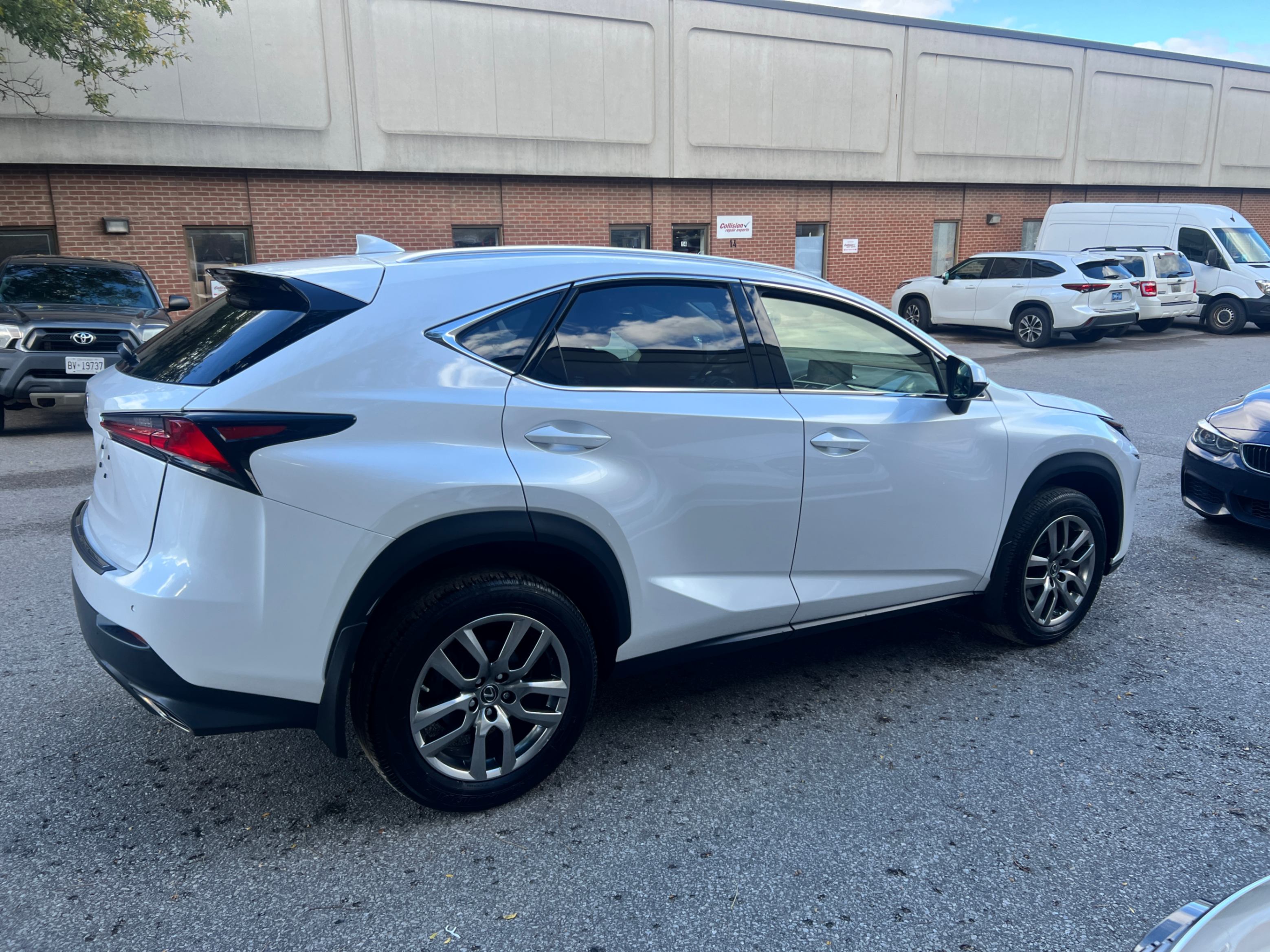 /crownautomobile/2021-Lexus-NX-6025373453796552.jpg