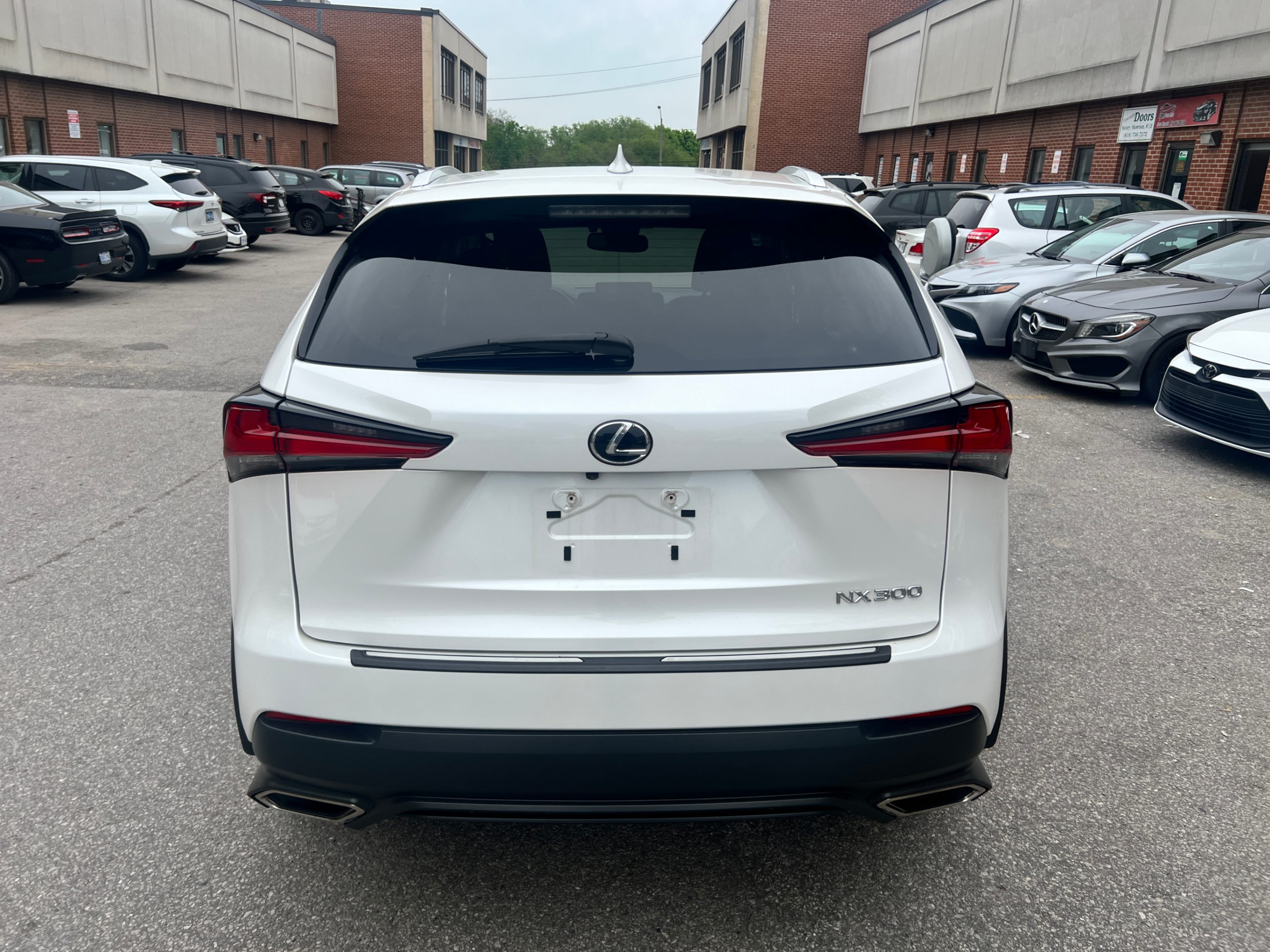 /crownautomobile/2021-Lexus-NX-8837520185064001.jpg