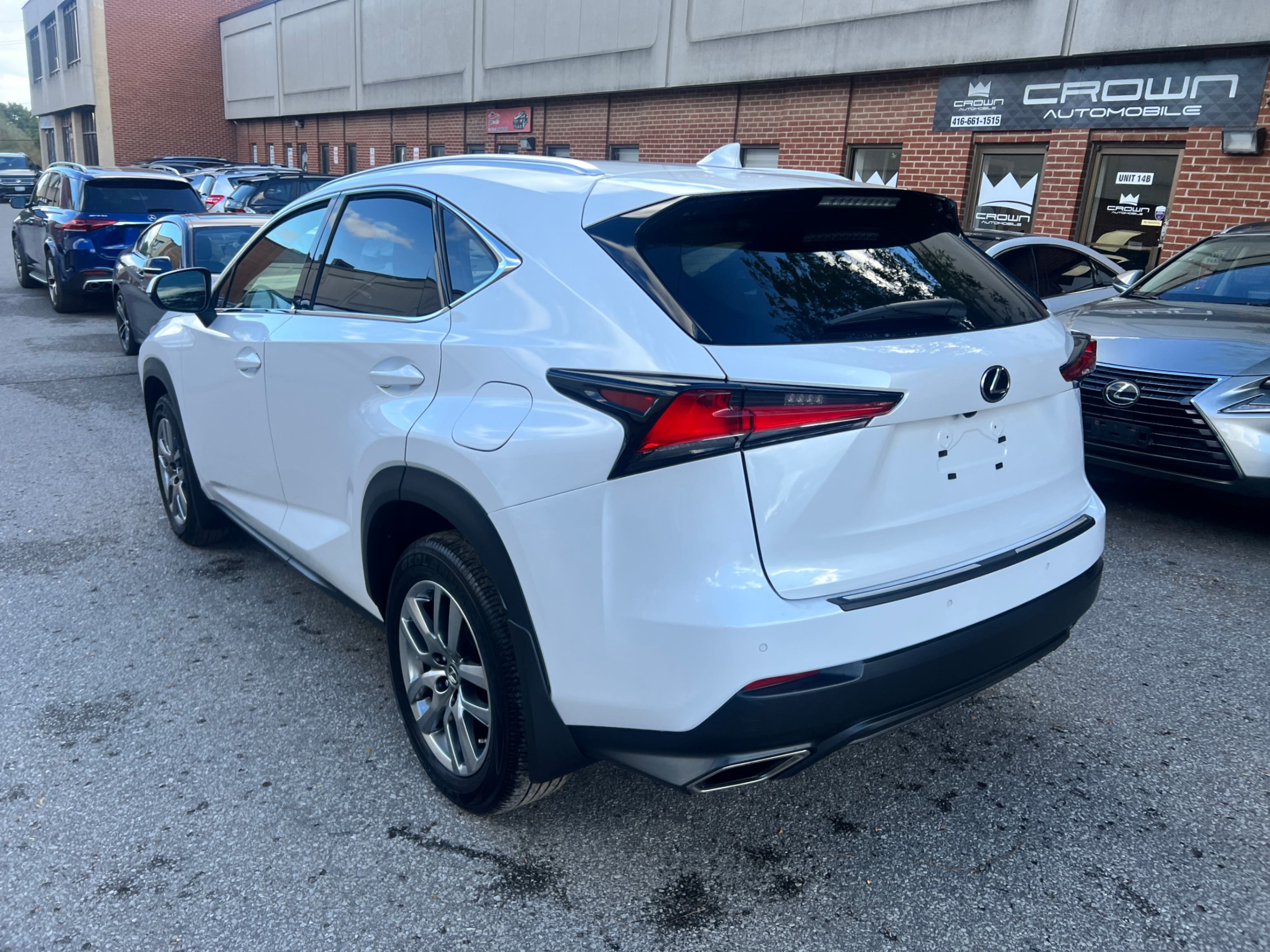 /crownautomobile/2021-Lexus-NX-9950349093182653.jpg