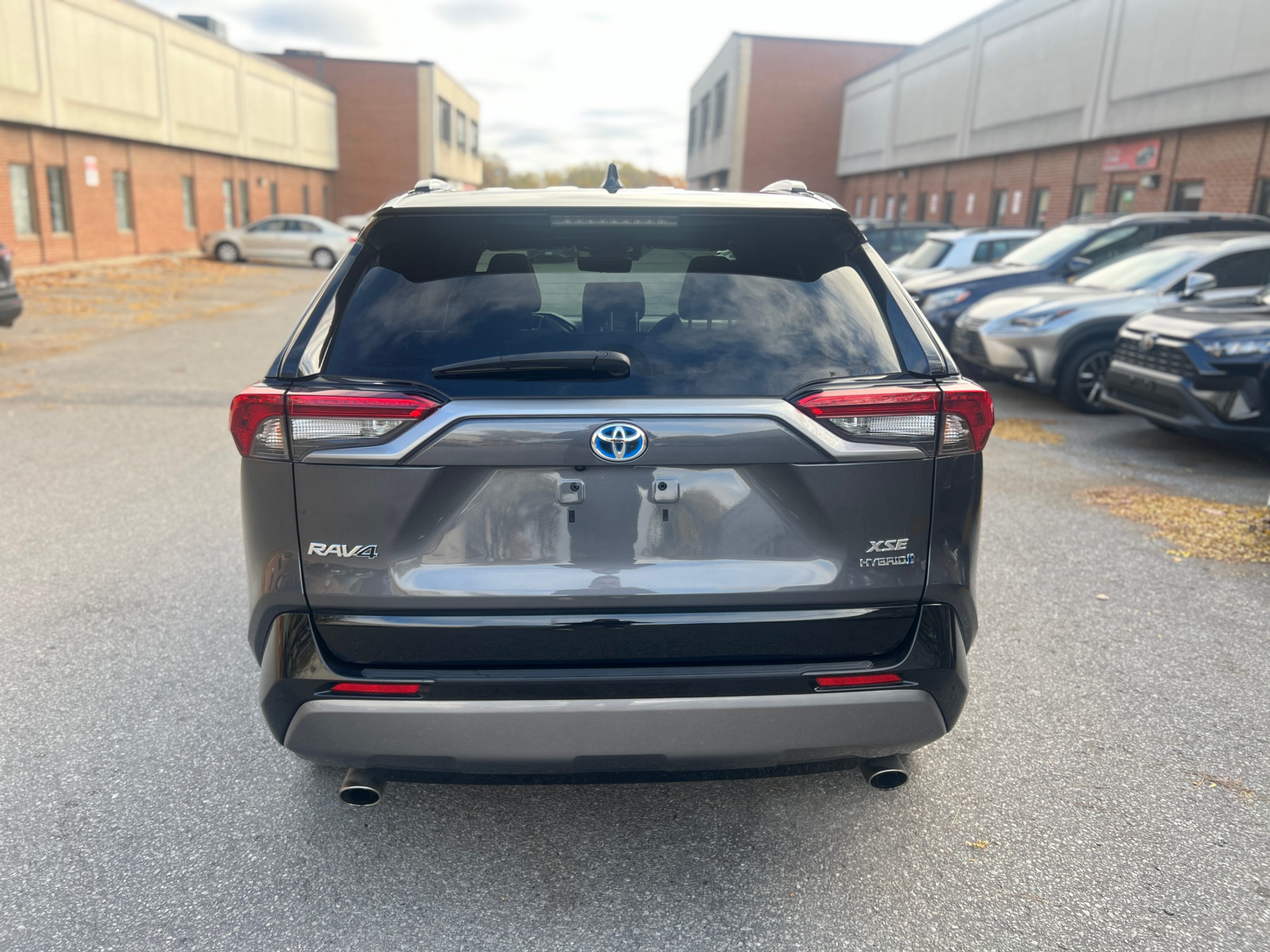 /crownautomobile/2021-Toyota-RAV4-04613807767098832.jpg