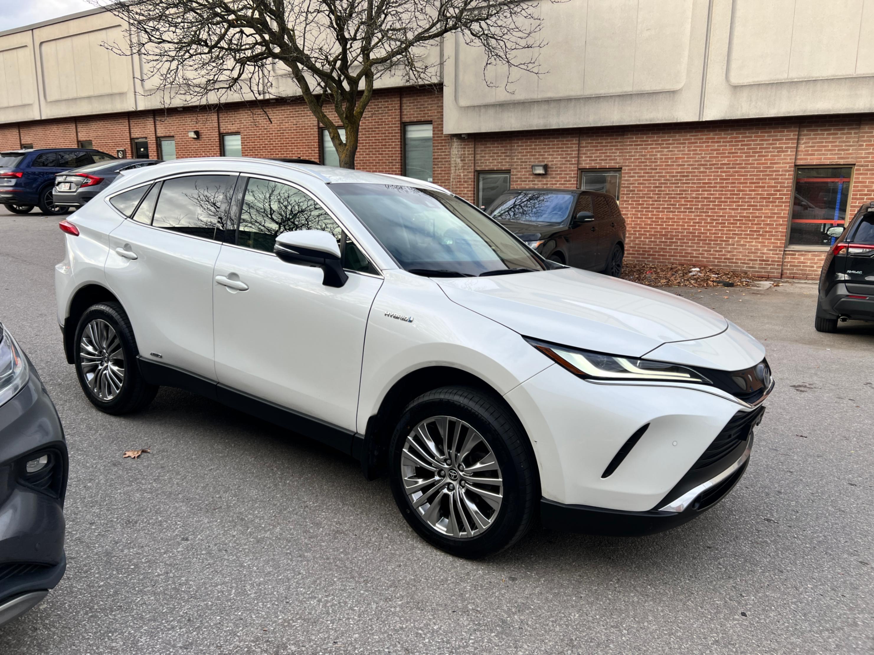 /crownautomobile/2021-Toyota-Venza-2536137575356332.jpg