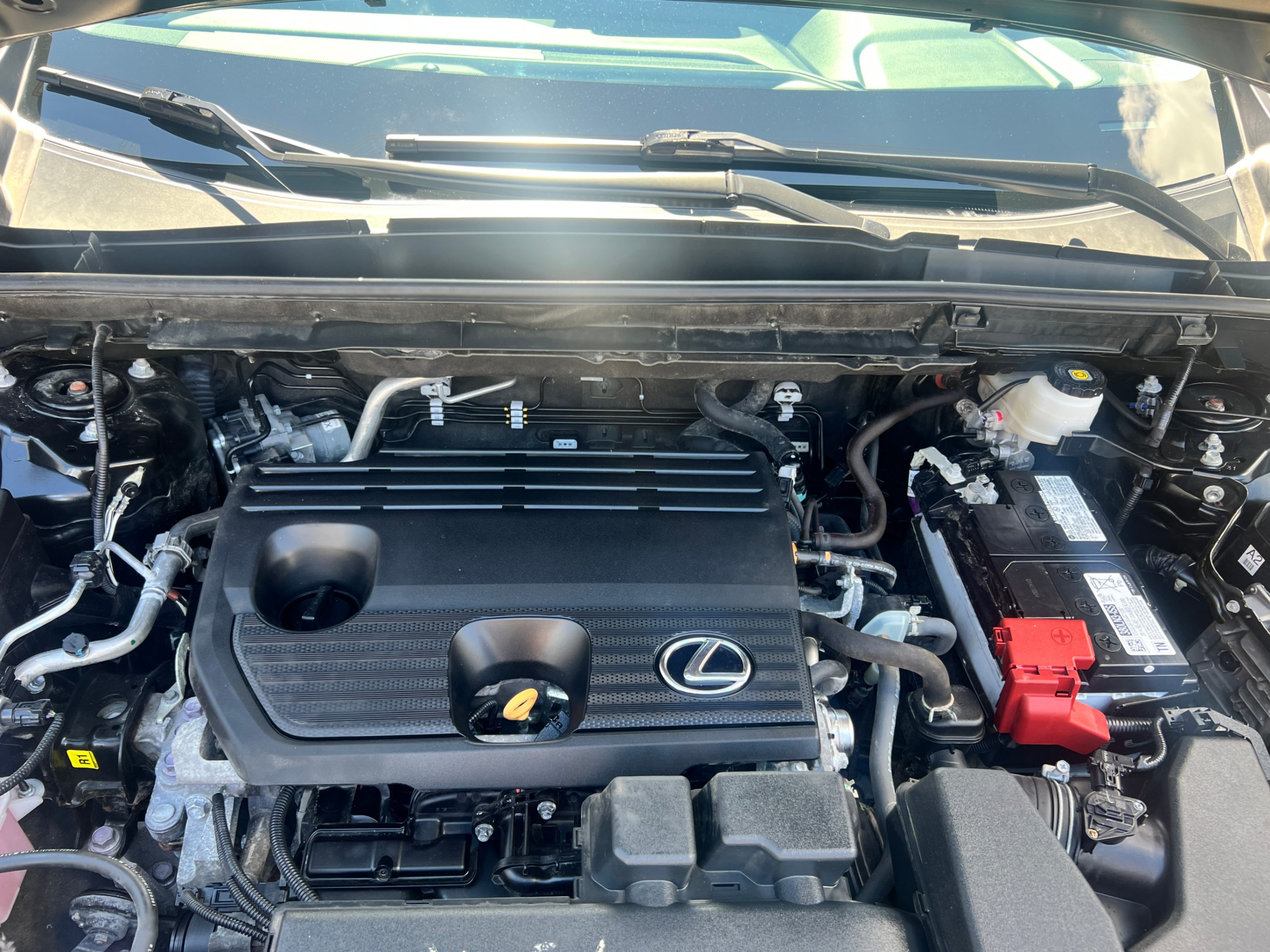 /crownautomobile/2022-Lexus-NX-7063750769613641.jpg