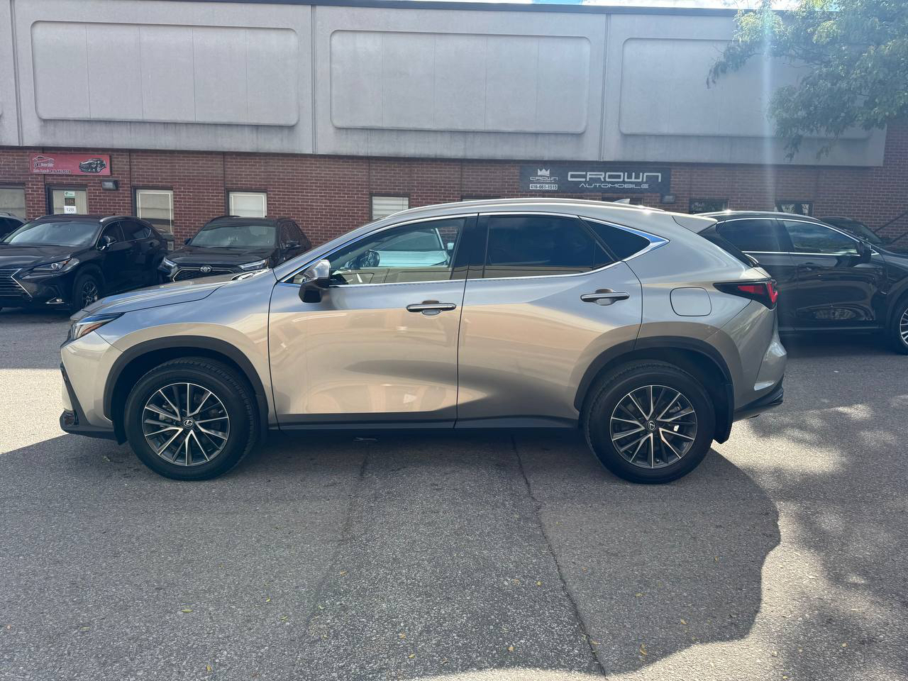 /crownautomobile/2022-Lexus-NX-9294253958977909.jpg
