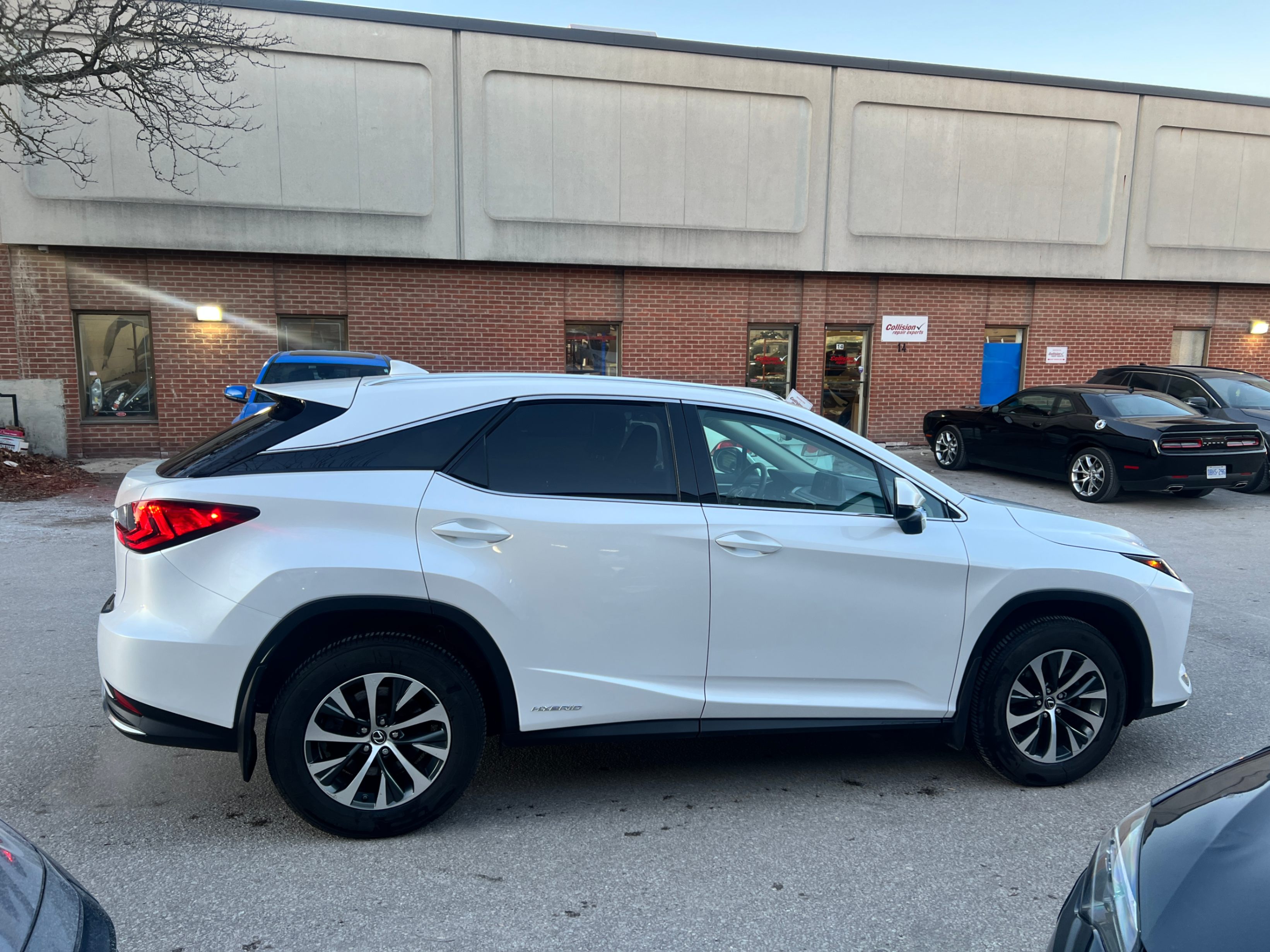 /crownautomobile/2022-Lexus-RX-024014917875652575.jpg