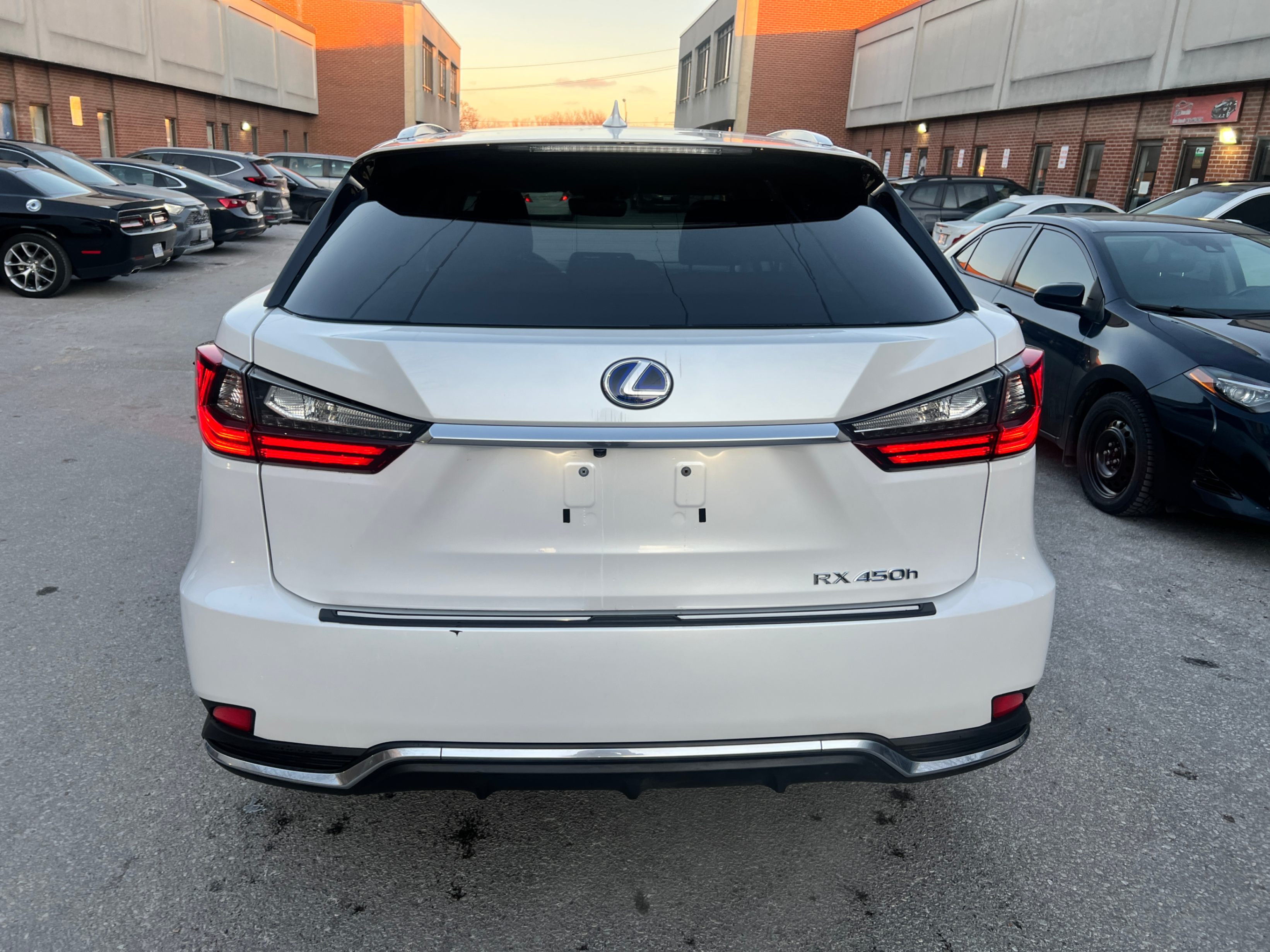 /crownautomobile/2022-Lexus-RX-25279658270494454.jpg