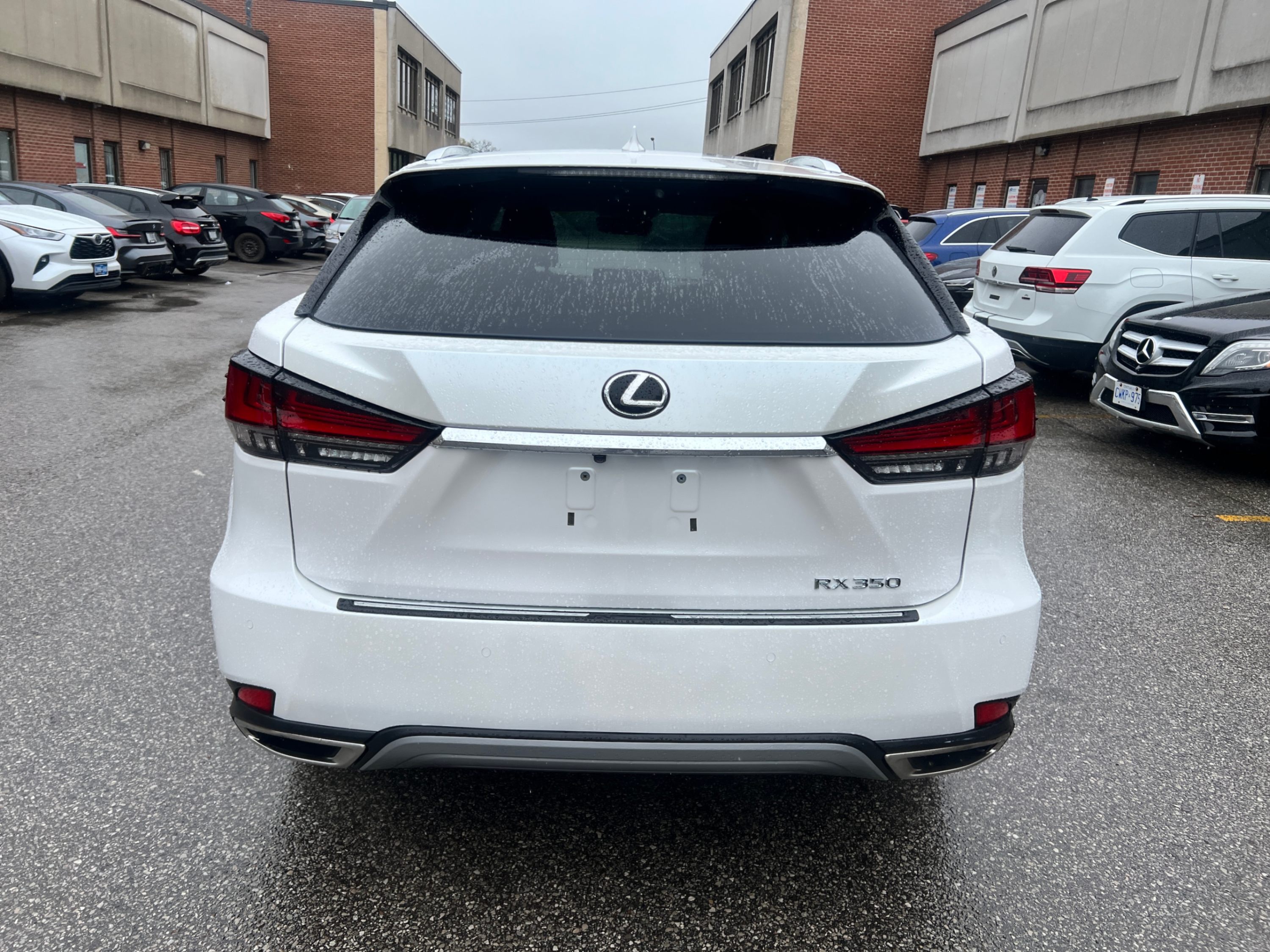 /crownautomobile/2022-Lexus-RX-6113720540933243.jpg