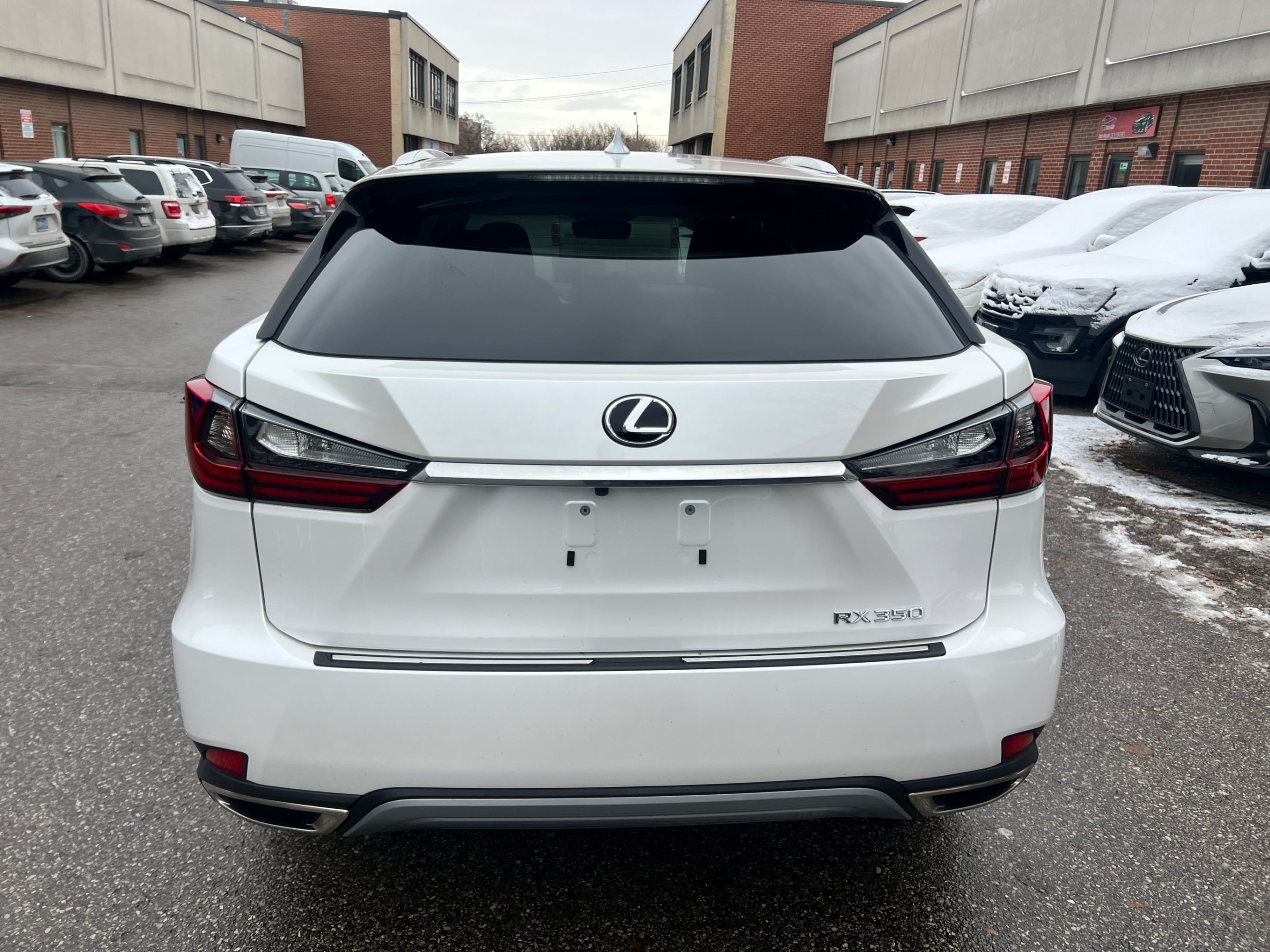 /crownautomobile/2022-Lexus-RX-7941983585375758.jpg