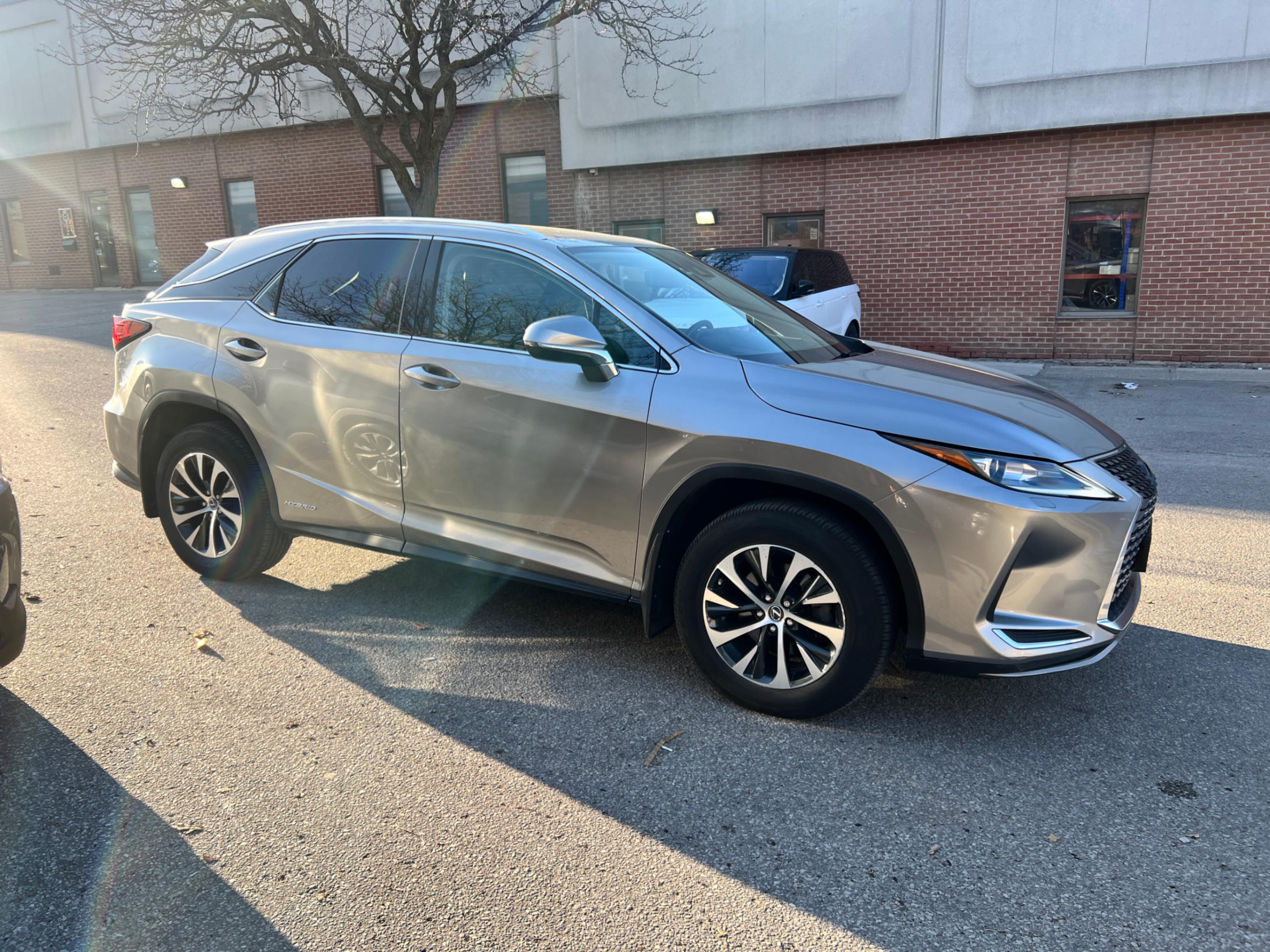 /crownautomobile/2022-Lexus-RX-8275486404255294.jpg