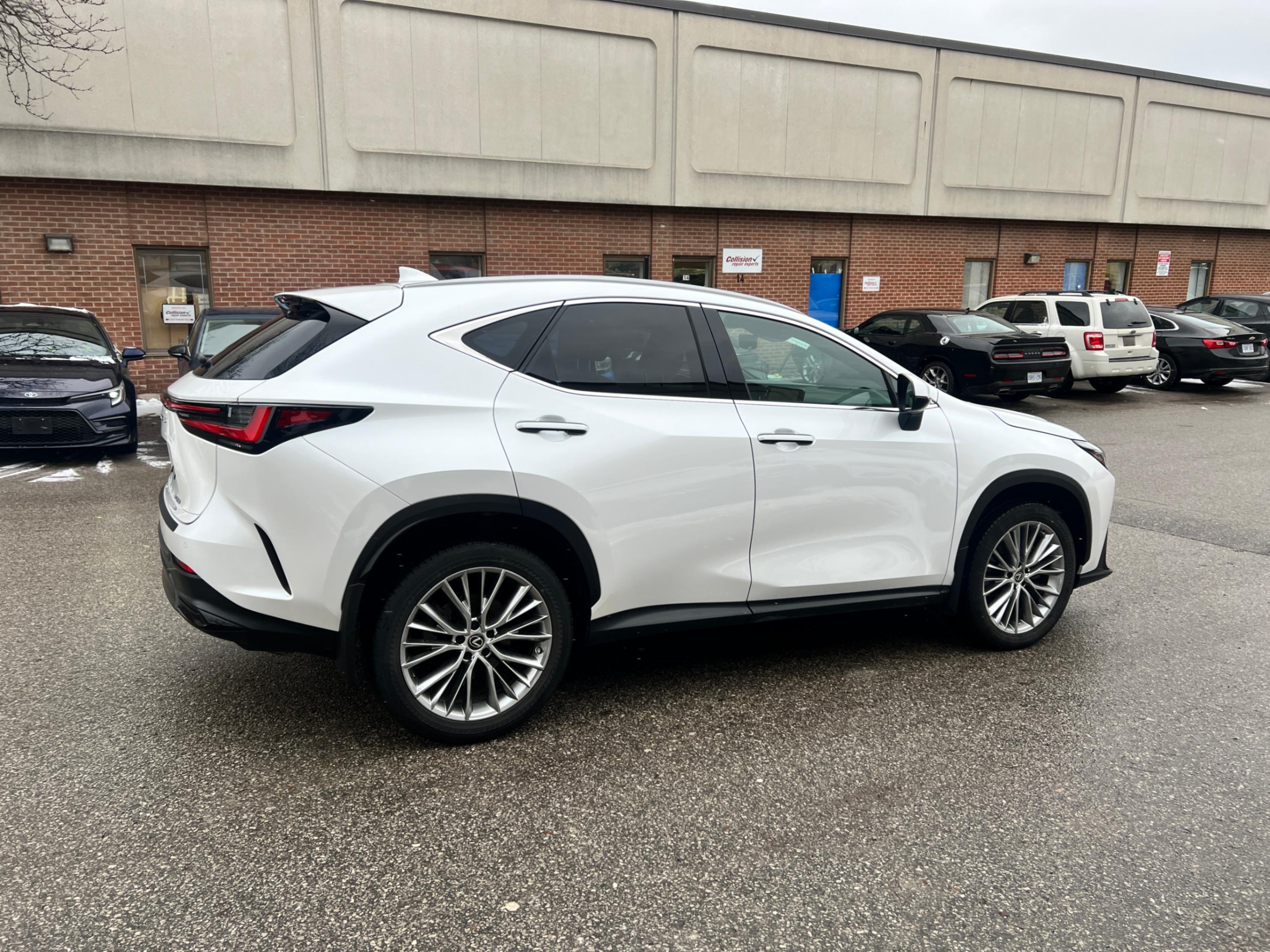 /crownautomobile/2023-Lexus-NX-4599290115630241.jpg