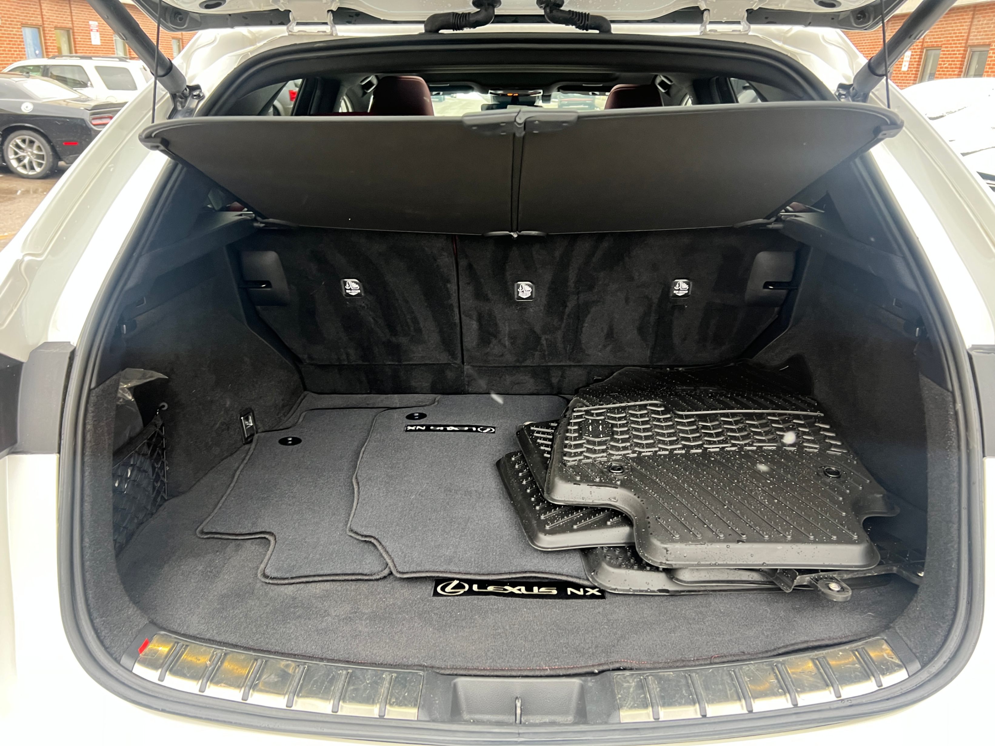/crownautomobile/2023-Lexus-NX-49025347469711944.jpg