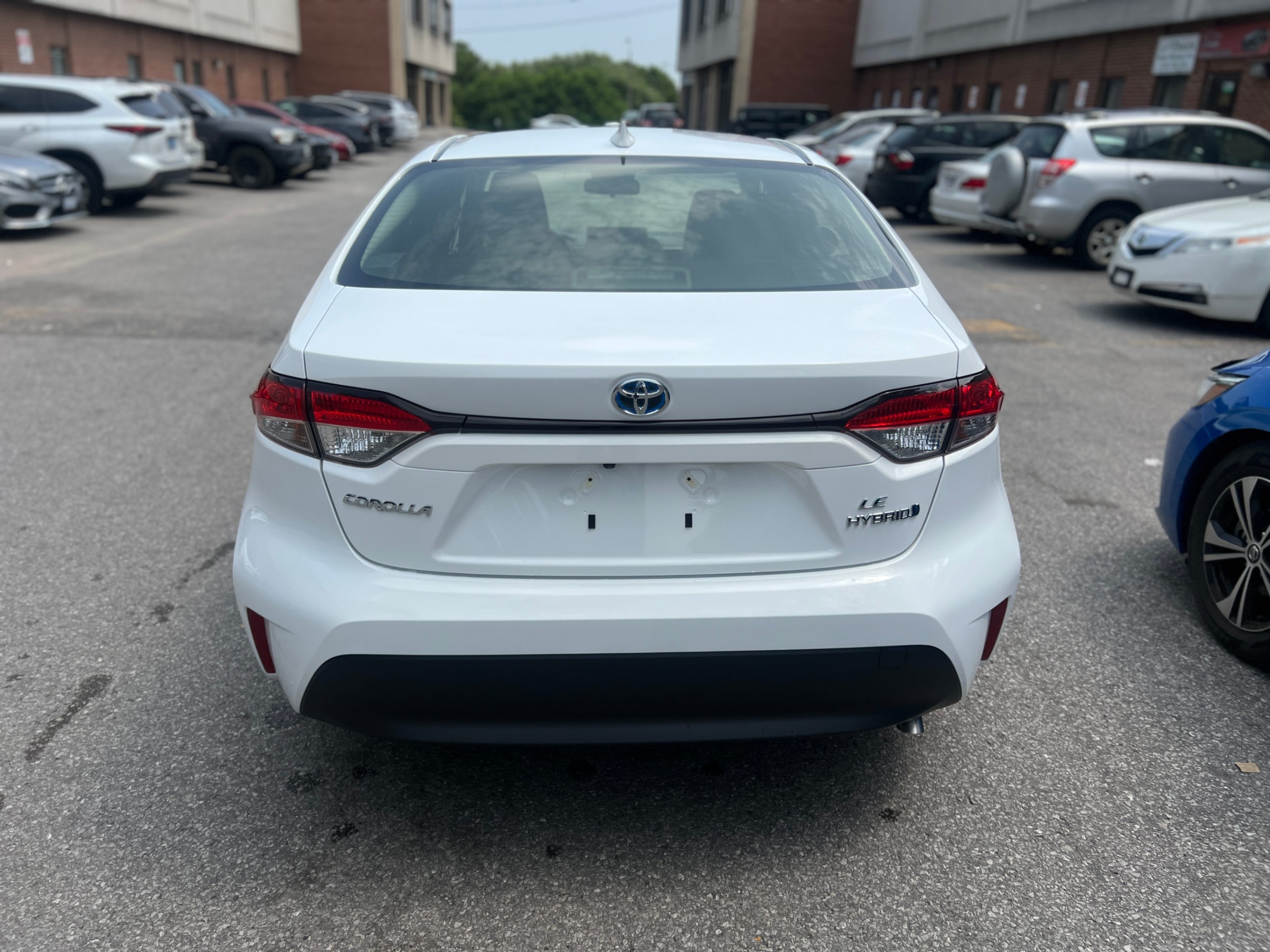 /crownautomobile/2023-Toyota-Corolla-5853155596892388.jpg