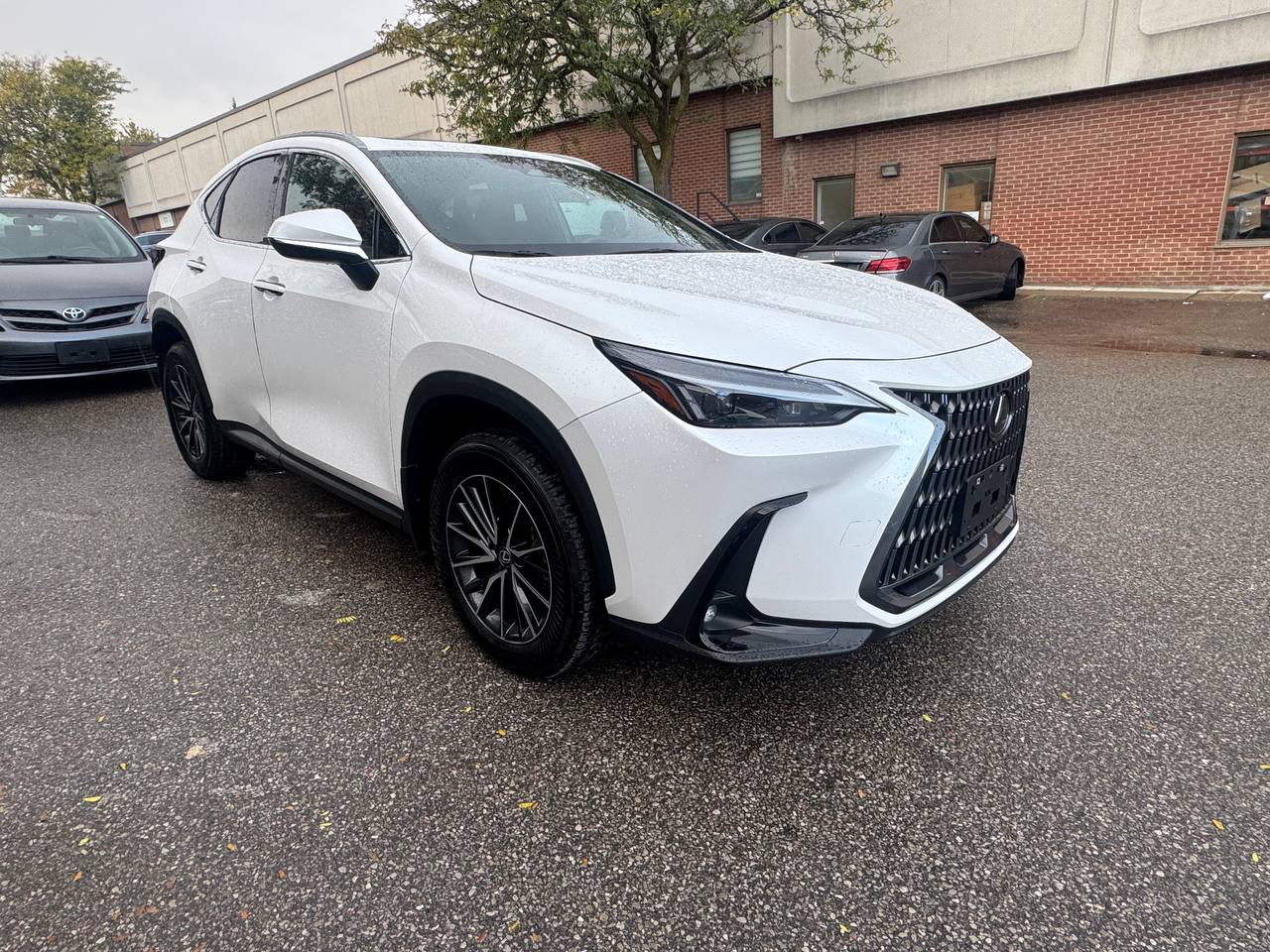 /crownautomobile/2024-Lexus-NX-15755950210688185.jpg