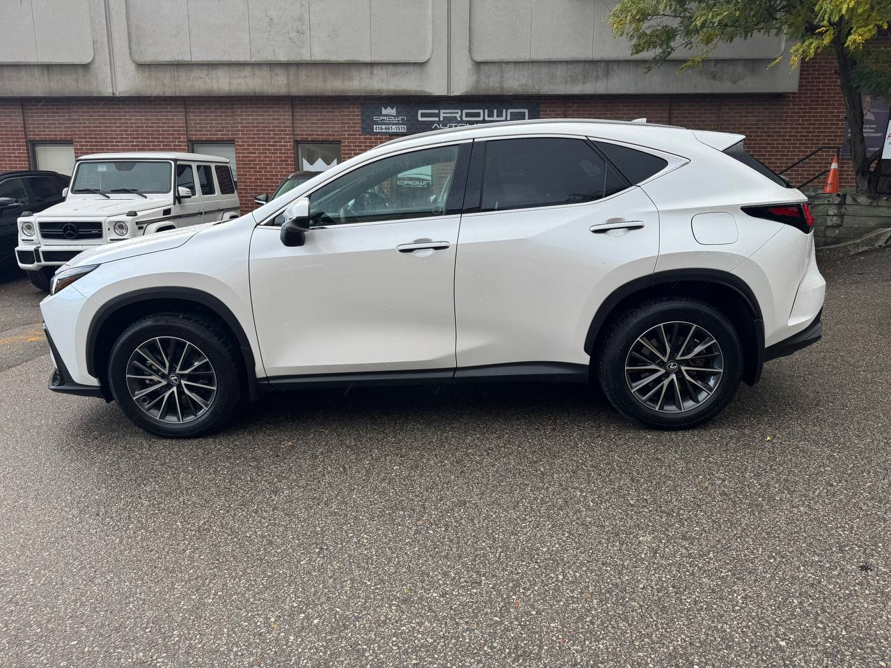 /crownautomobile/2024-Lexus-NX-21862838624940073.jpg