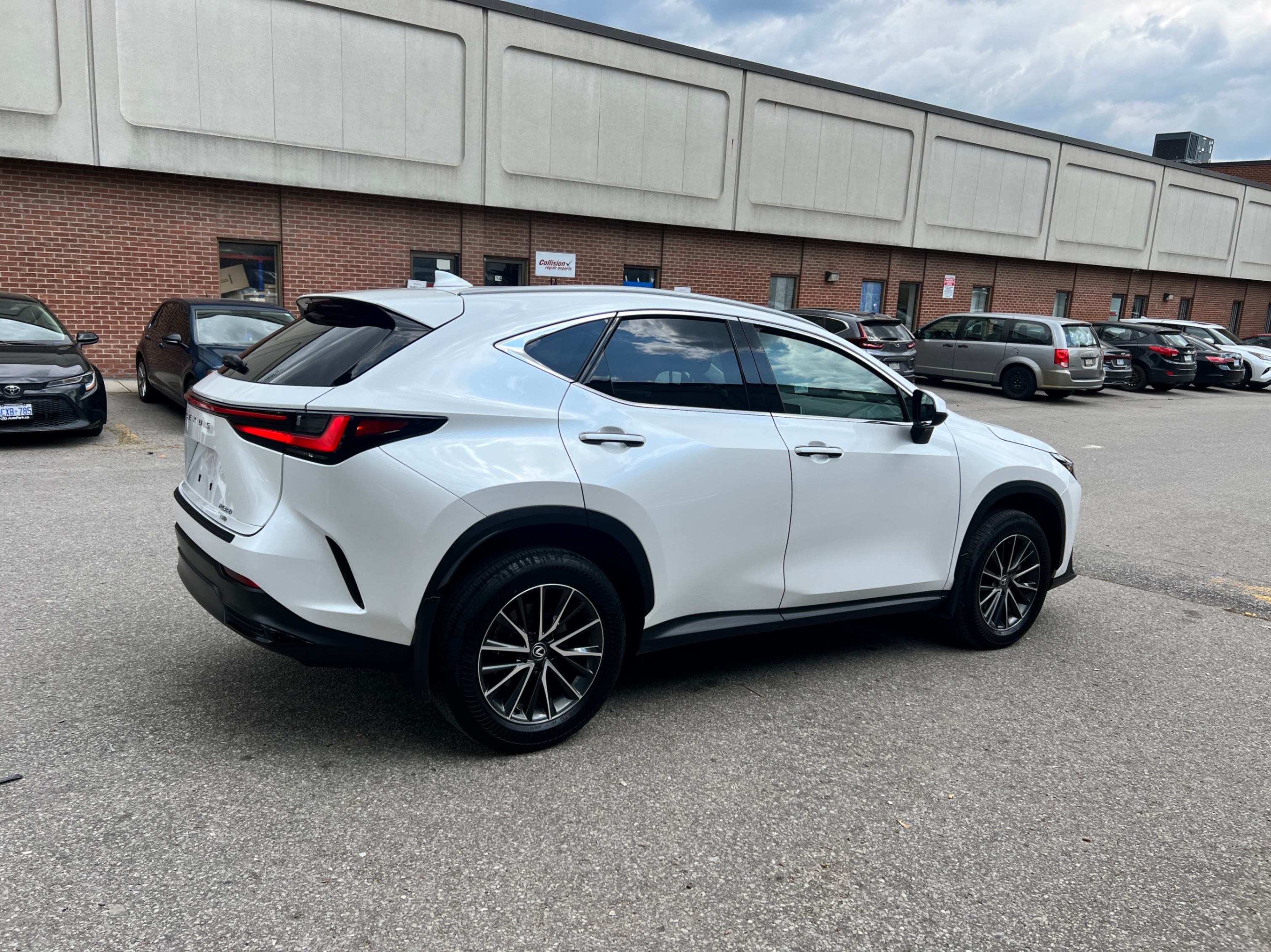 /crownautomobile/2024-Lexus-NX-7684825395323442.jpg