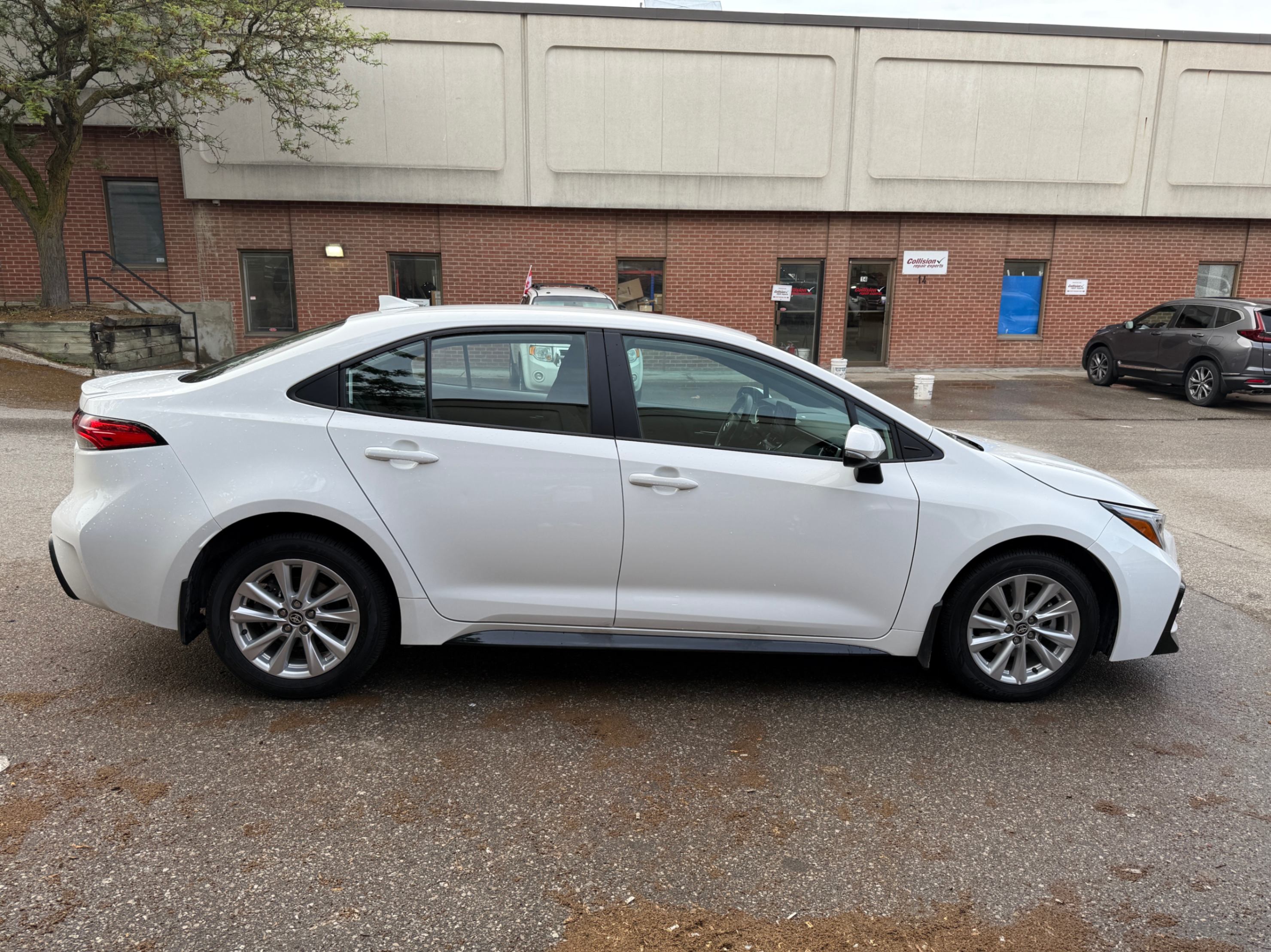 /crownautomobile/2025-Toyota-Corolla-32468829235166186.jpg