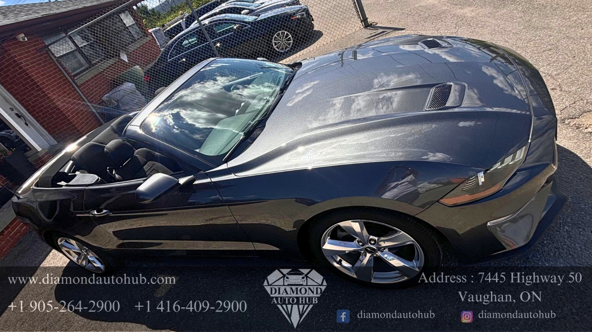 /diamondautohub/2019-Ford-Mustang-7666001067210964.jpg