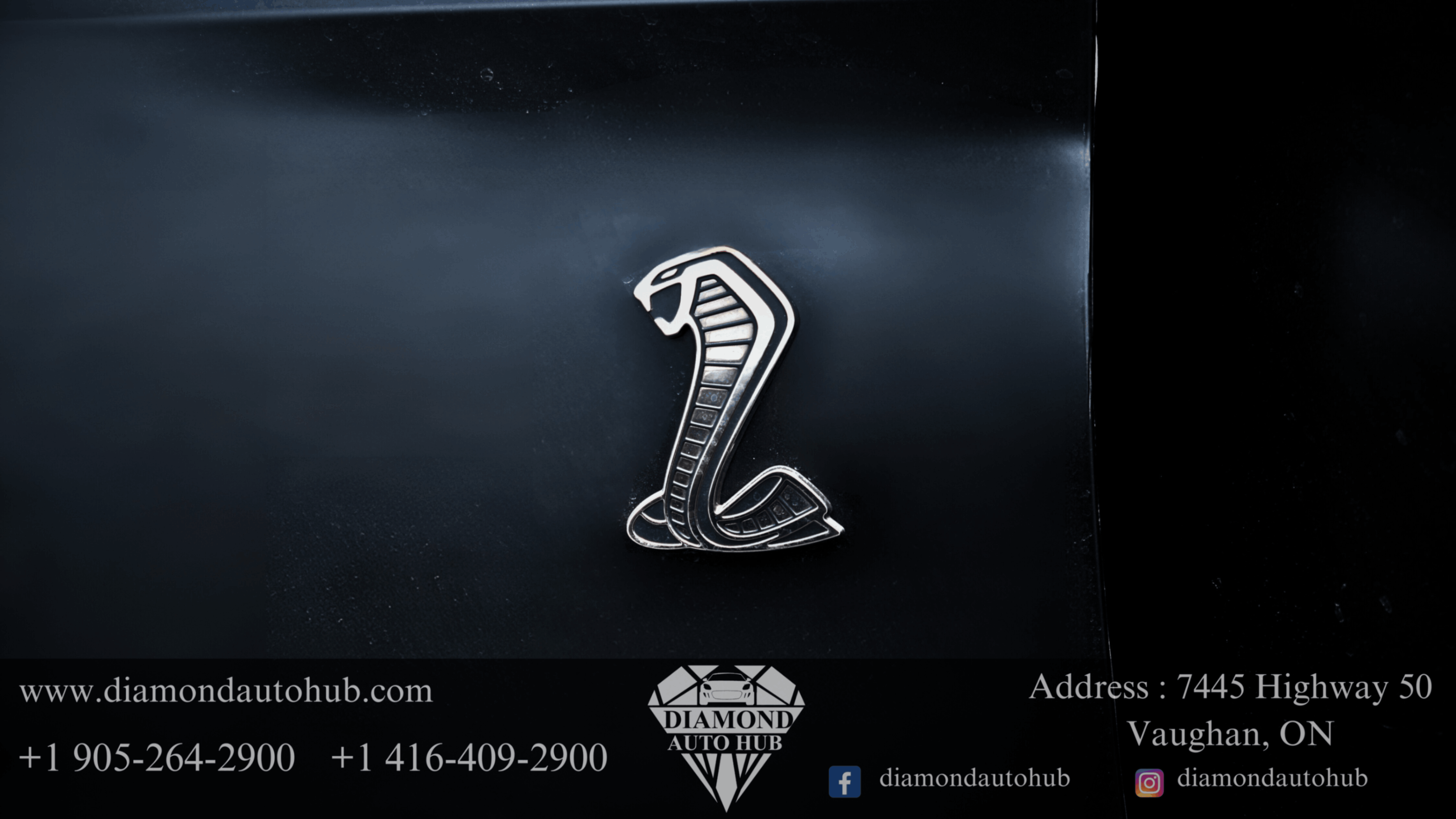 /diamondautohub/2022-Ford-Mustang-3926252103383814.jpg