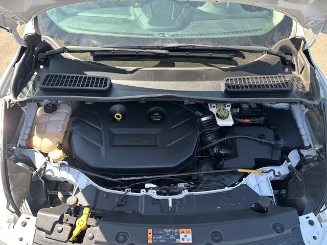 /drivenbyyouautosales/2014-Ford-Escape-4658419480201248.jpg