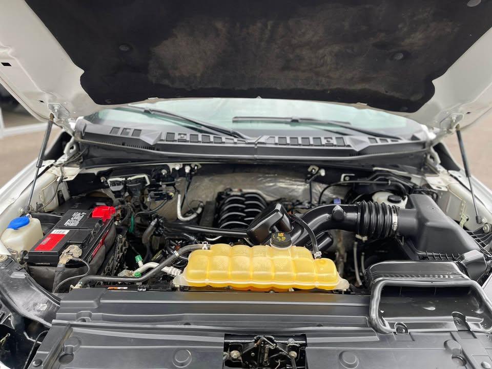 /drivenbyyouautosales/2017-Ford-F-150-033388278952361405.jpg