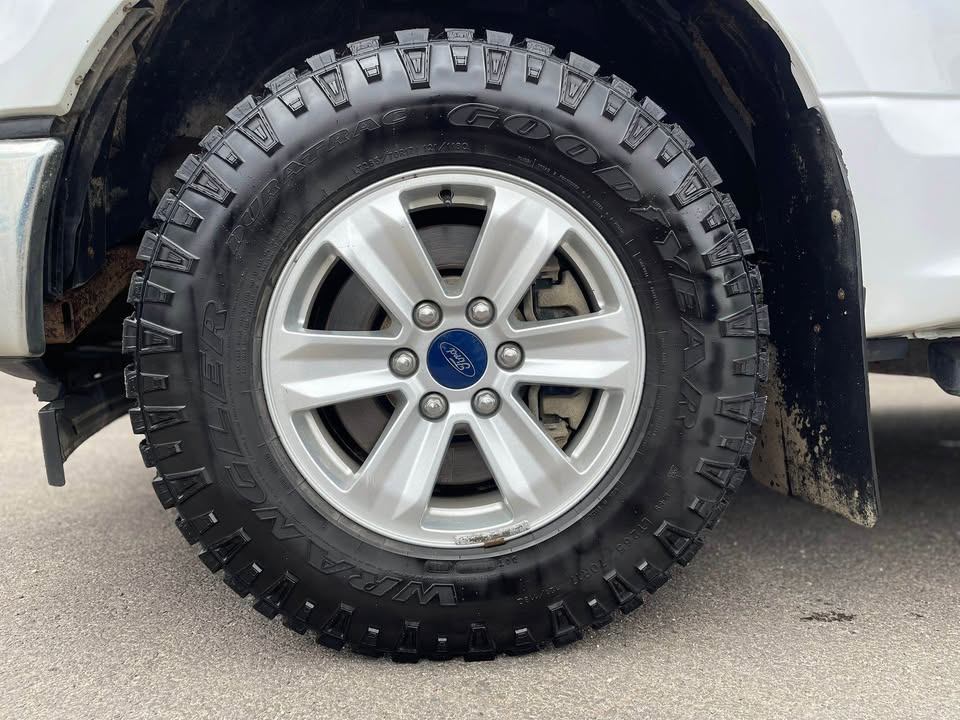 /drivenbyyouautosales/2017-Ford-F-150-07338111420065396.jpg