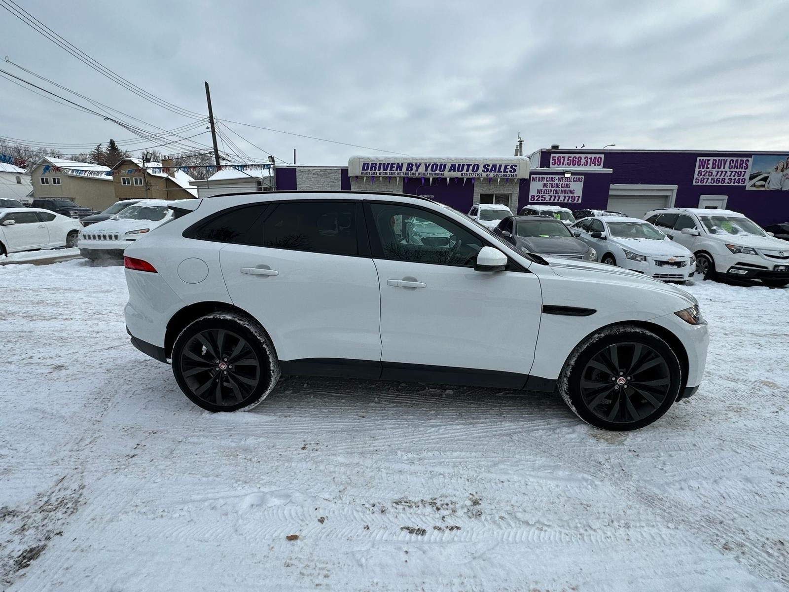 /drivenbyyouautosales/2017-Jaguar-F-PACE-9825416581356732.jpg