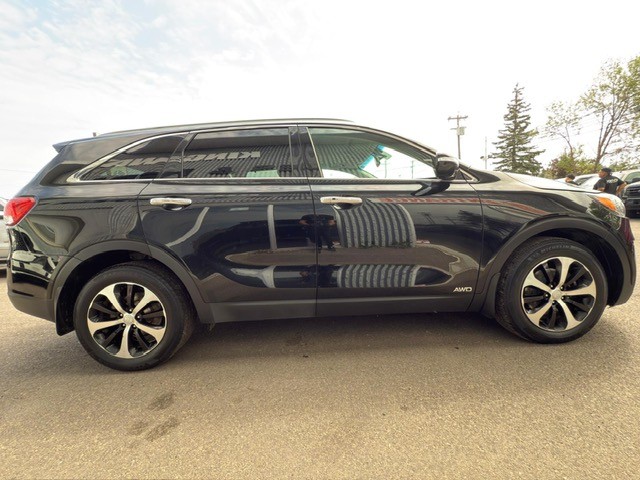 /drivenbyyouautosales/2018-Kia-Sorento-10859137183488121.jpg