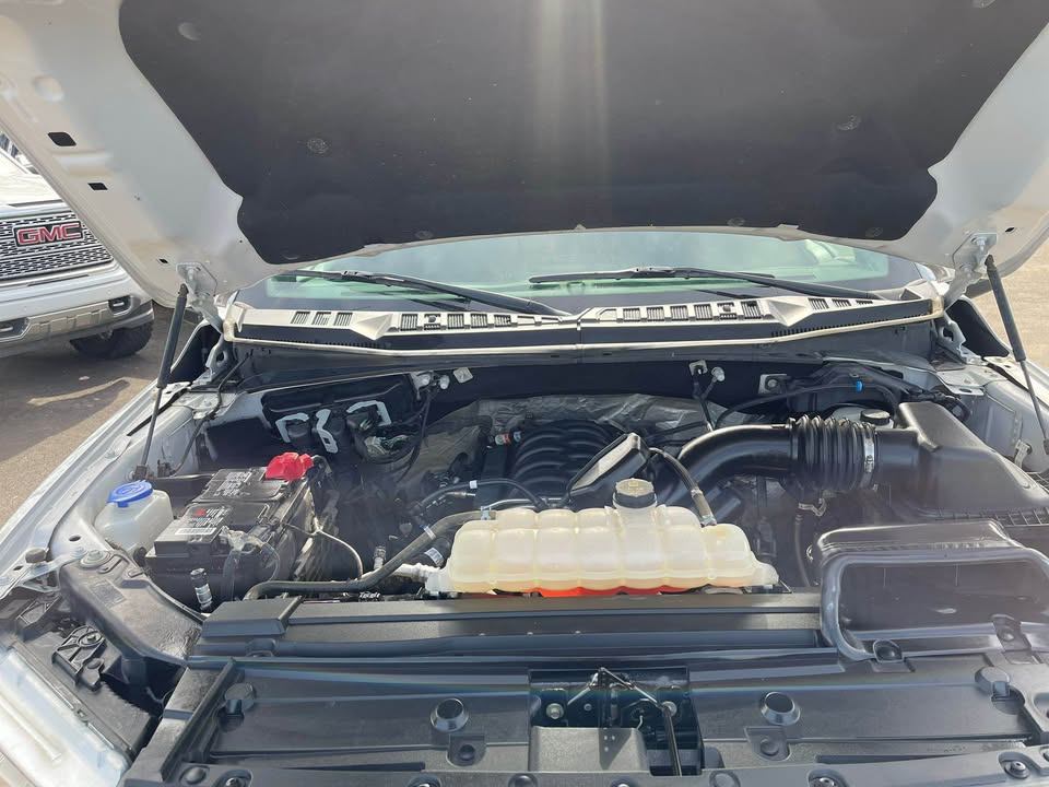 /drivenbyyouautosales/2019-Ford-F-150-11781011524501017.jpg