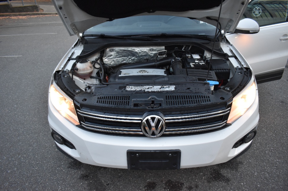 /driveonautoscanadaltd/2013-Volkswagen-Tiguan-12095396079490062.jpg