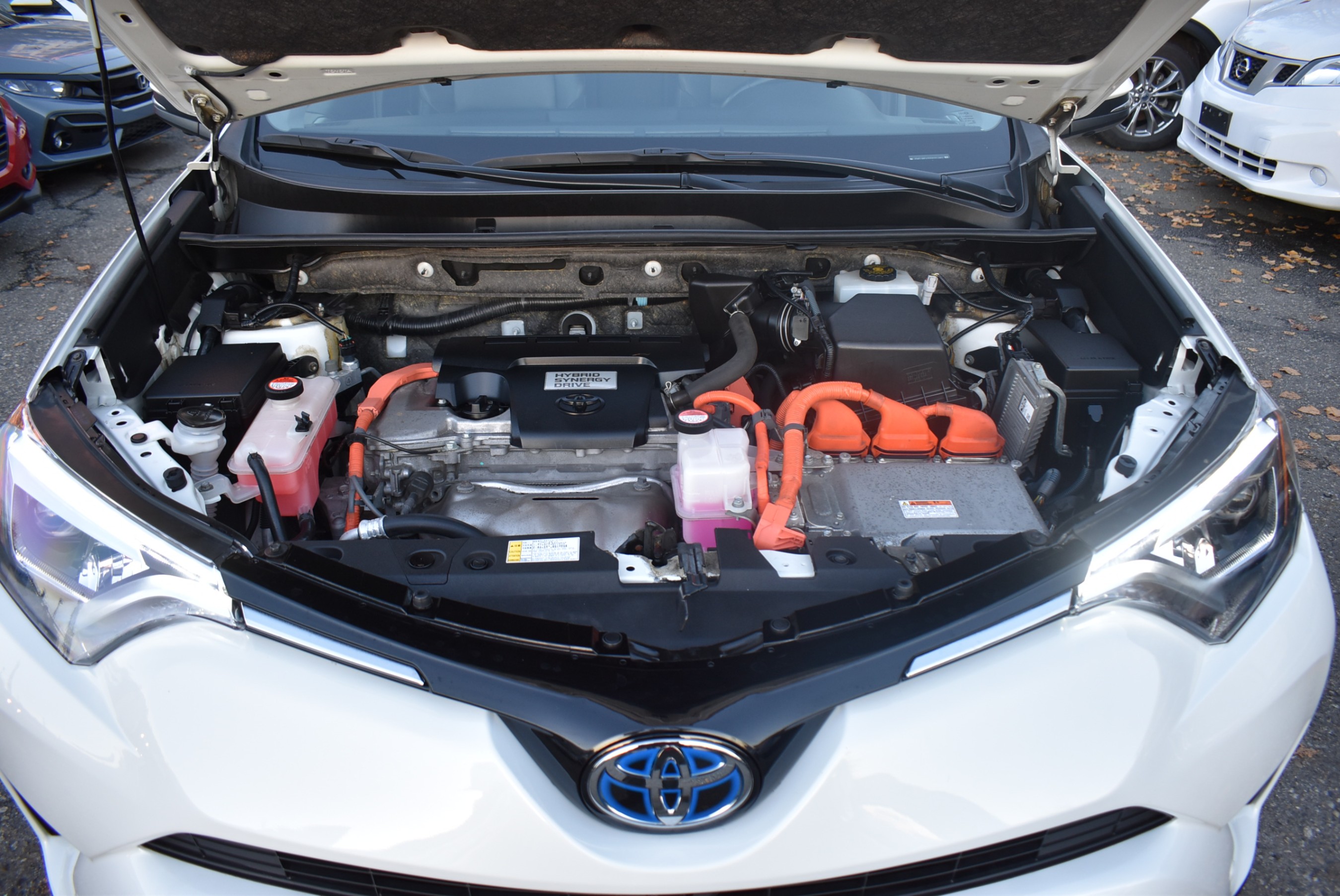 /driveonautoscanadaltd/2016-Toyota-RAV4Hybrid-5903922436145252.jpg