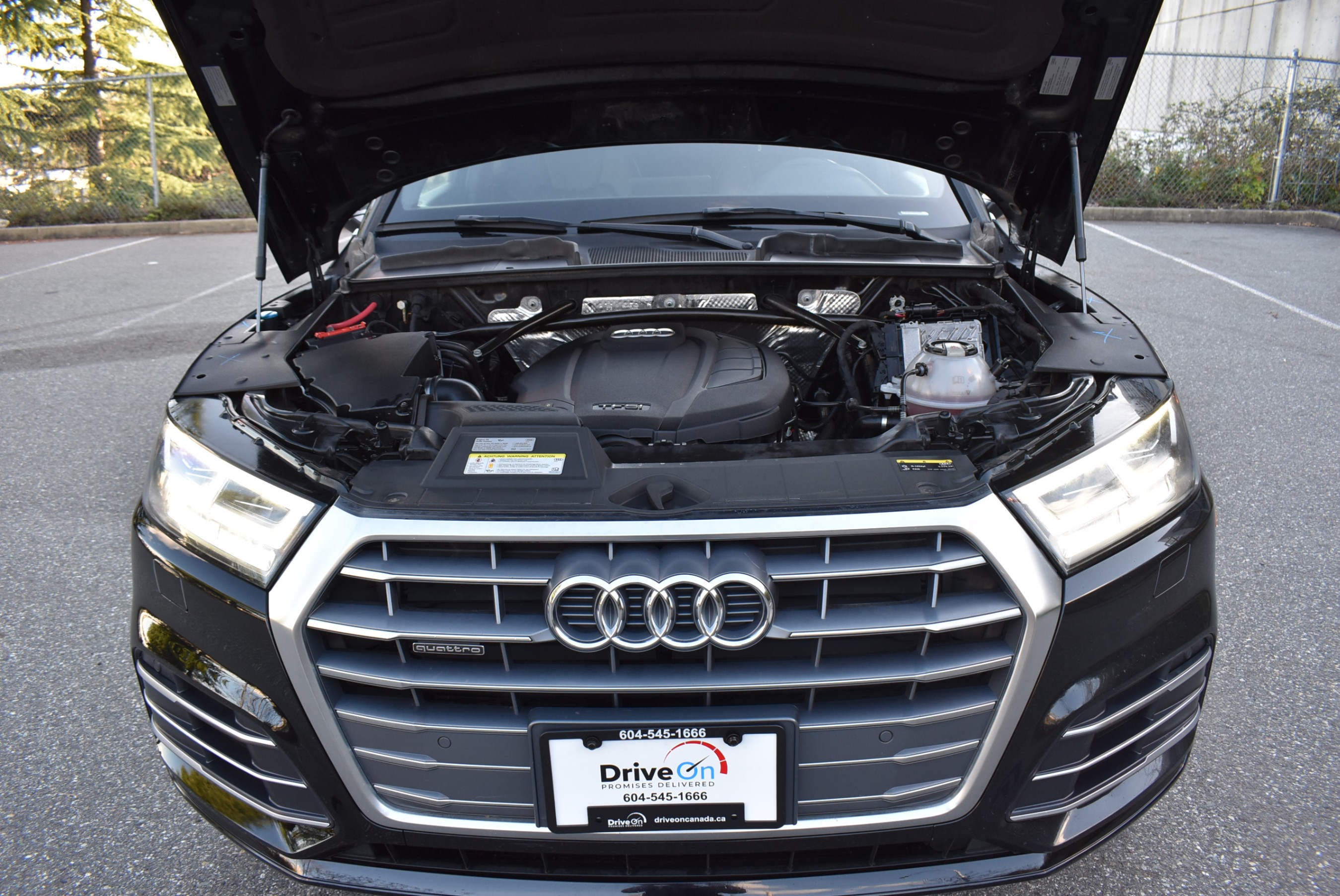 /driveonautoscanadaltd/2018-Audi-Q5-6755712244973782.jpg