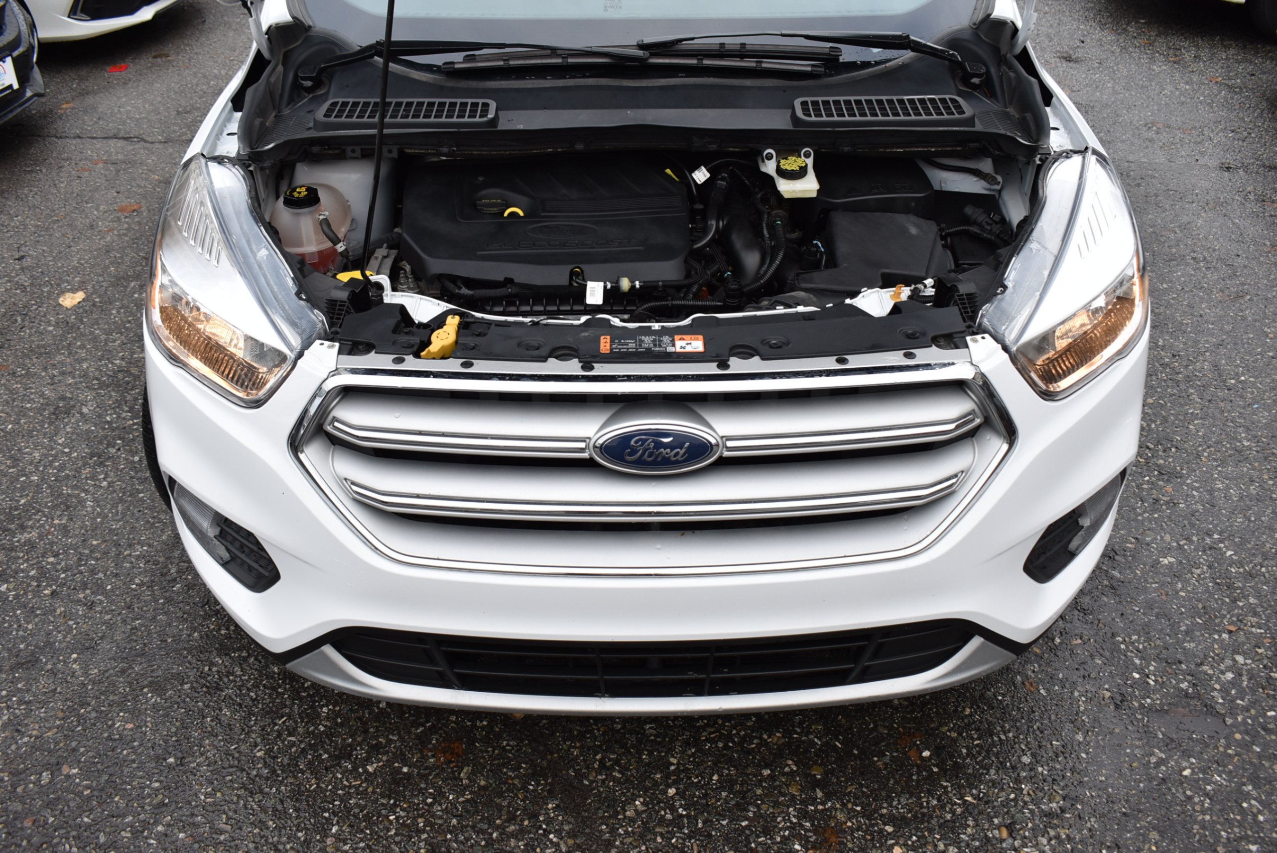 /driveonautoscanadaltd/2018-Ford-Escape-8729289692317048.jpg