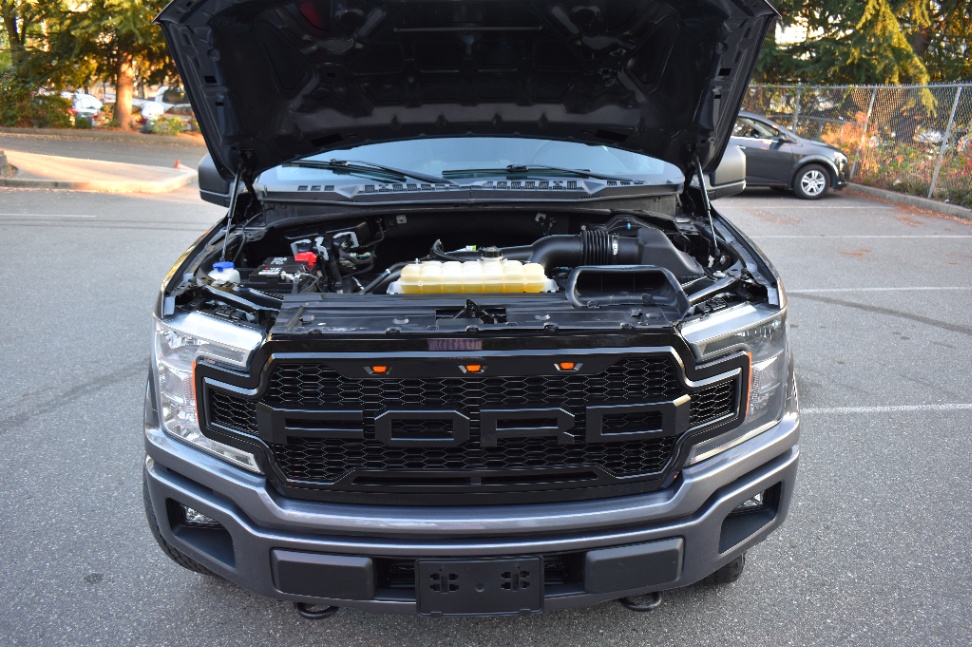 /driveonautoscanadaltd/2019-Ford-F-150-07473002497563974.jpg