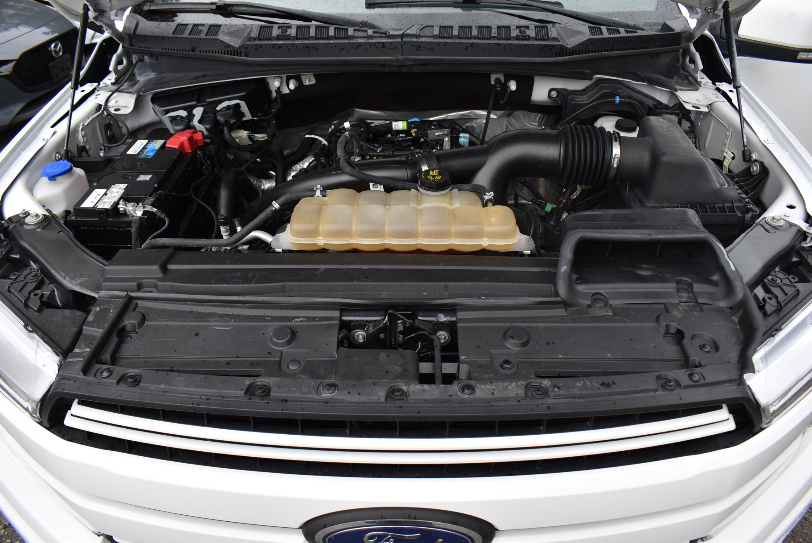 /driveonautoscanadaltd/2019-Ford-F-150-9349102491073735.jpg