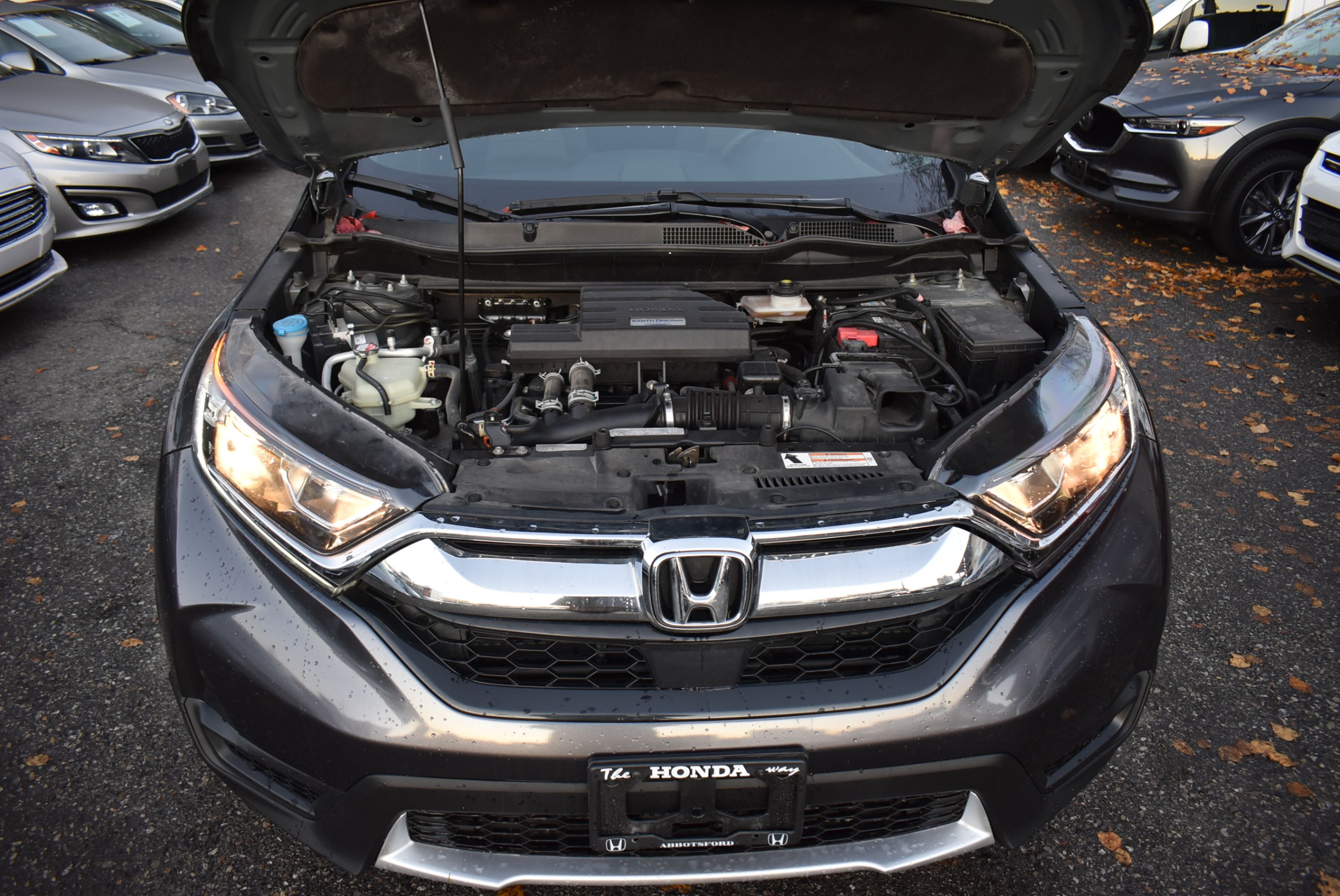 /driveonautoscanadaltd/2019-Honda-CR-V-7797074592026667.jpg