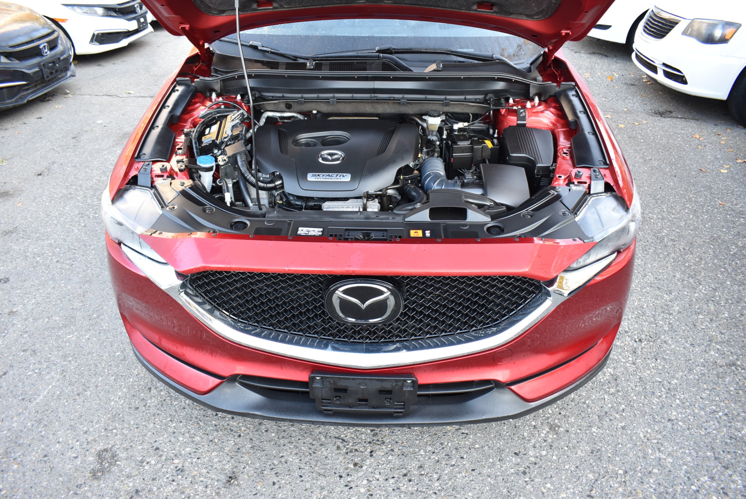 /driveonautoscanadaltd/2019-Mazda-CX-5-032224689838335596.jpg