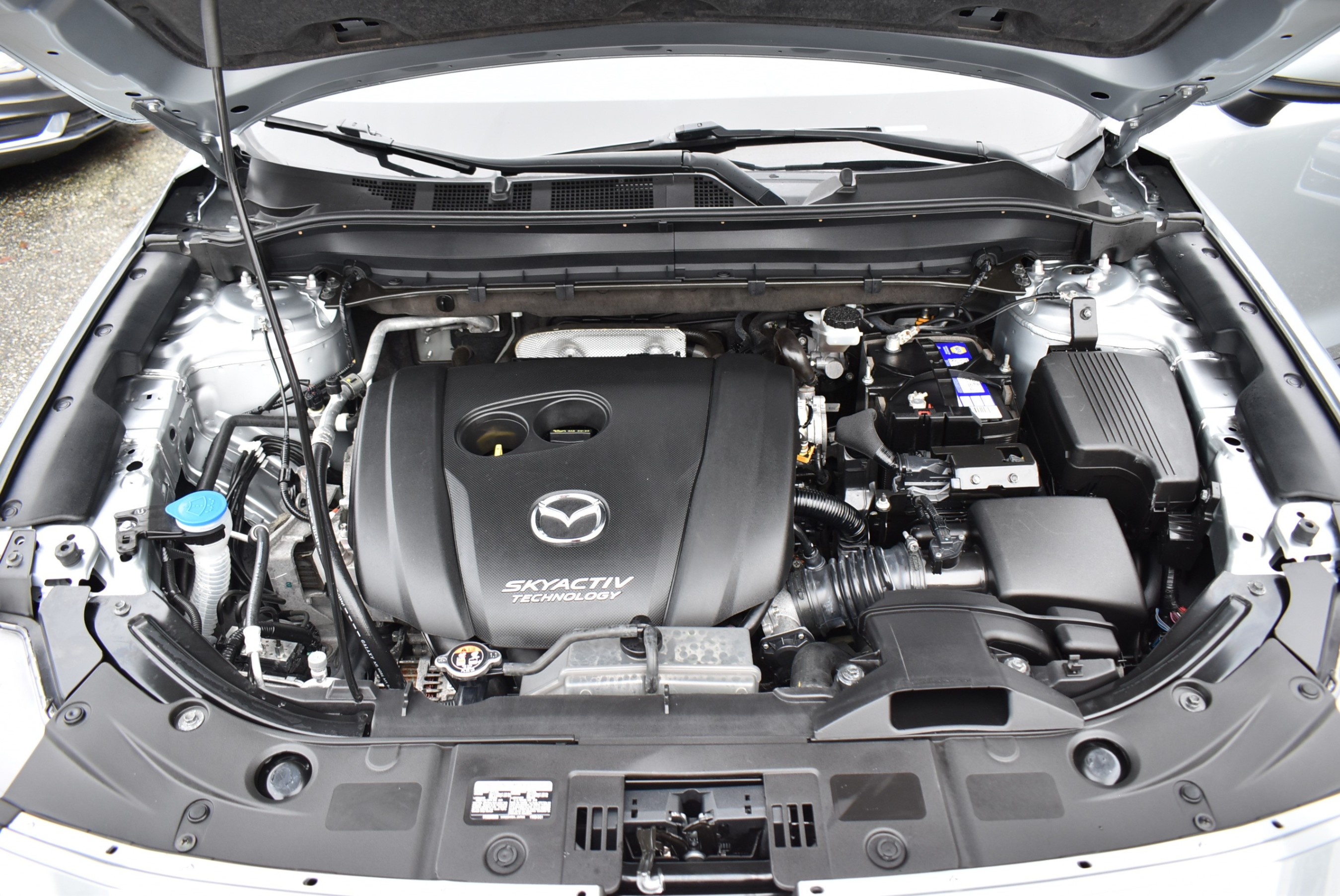 /driveonautoscanadaltd/2019-Mazda-CX-5-8269854390257074.jpg