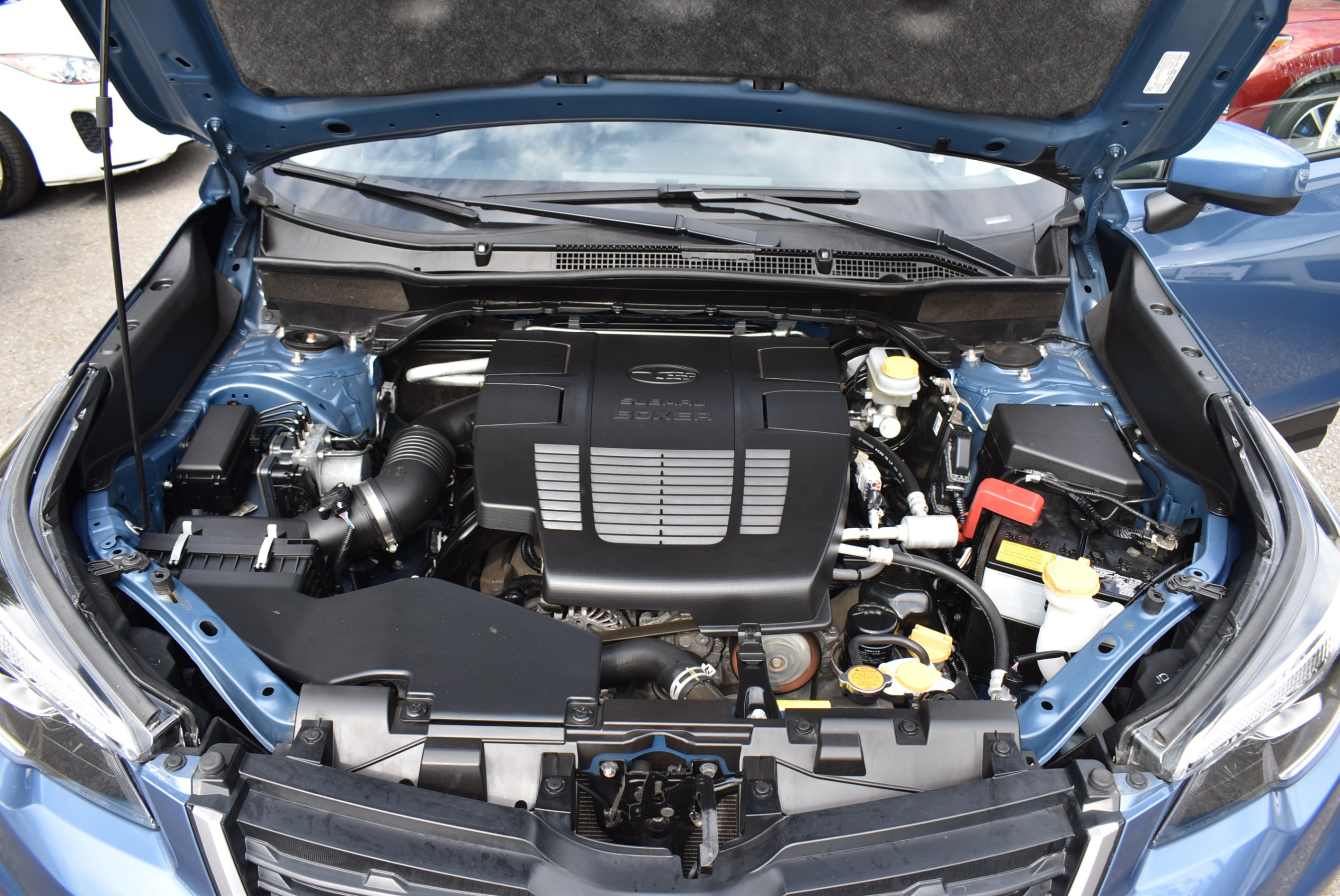 /driveonautoscanadaltd/2019-Subaru-Forester-8507134385103052.jpg