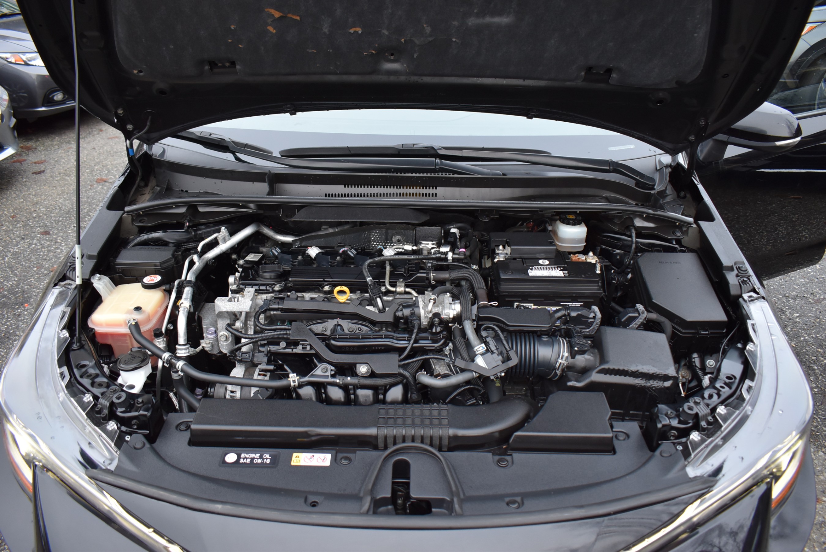 /driveonautoscanadaltd/2019-Toyota-CorollaHatchback-15461254332911545.jpg