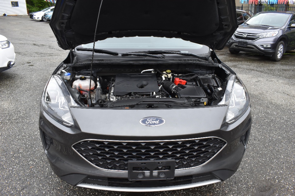 /driveonautoscanadaltd/2020-Ford-Escape-945591449860089.jpg
