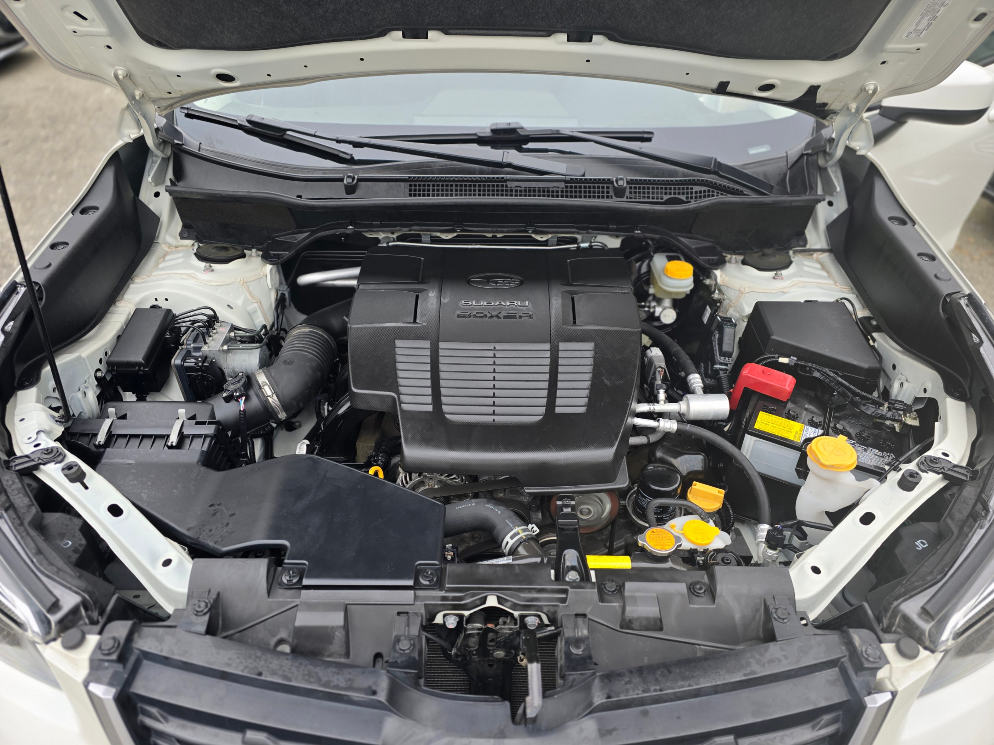 /driveonautoscanadaltd/2020-Subaru-Forester-3163091250522734.jpg